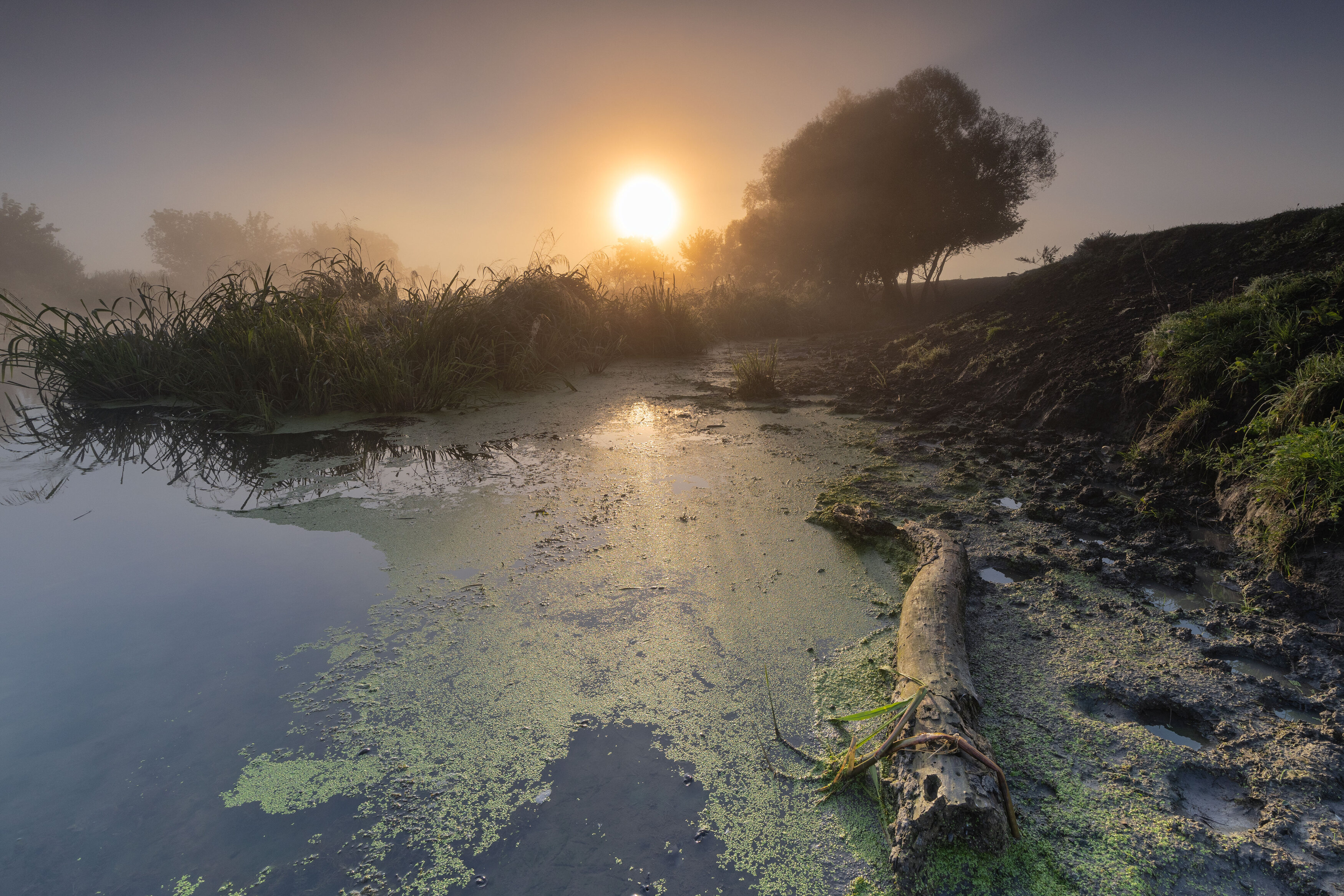 , Александр Бредихин