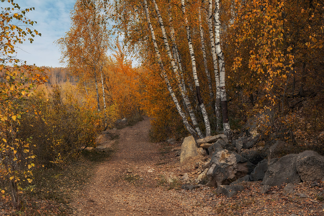 , Анатолий Зверев