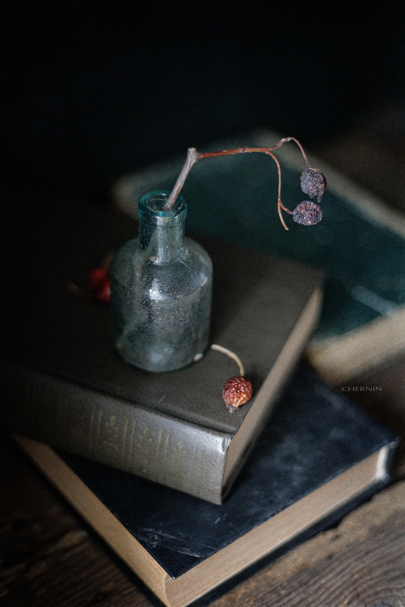 , Чернин Дмитрий