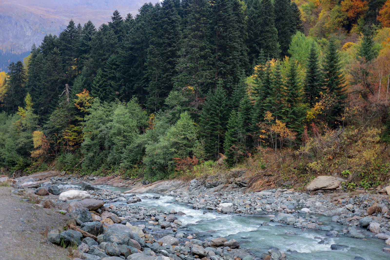 , Игорь Денисов