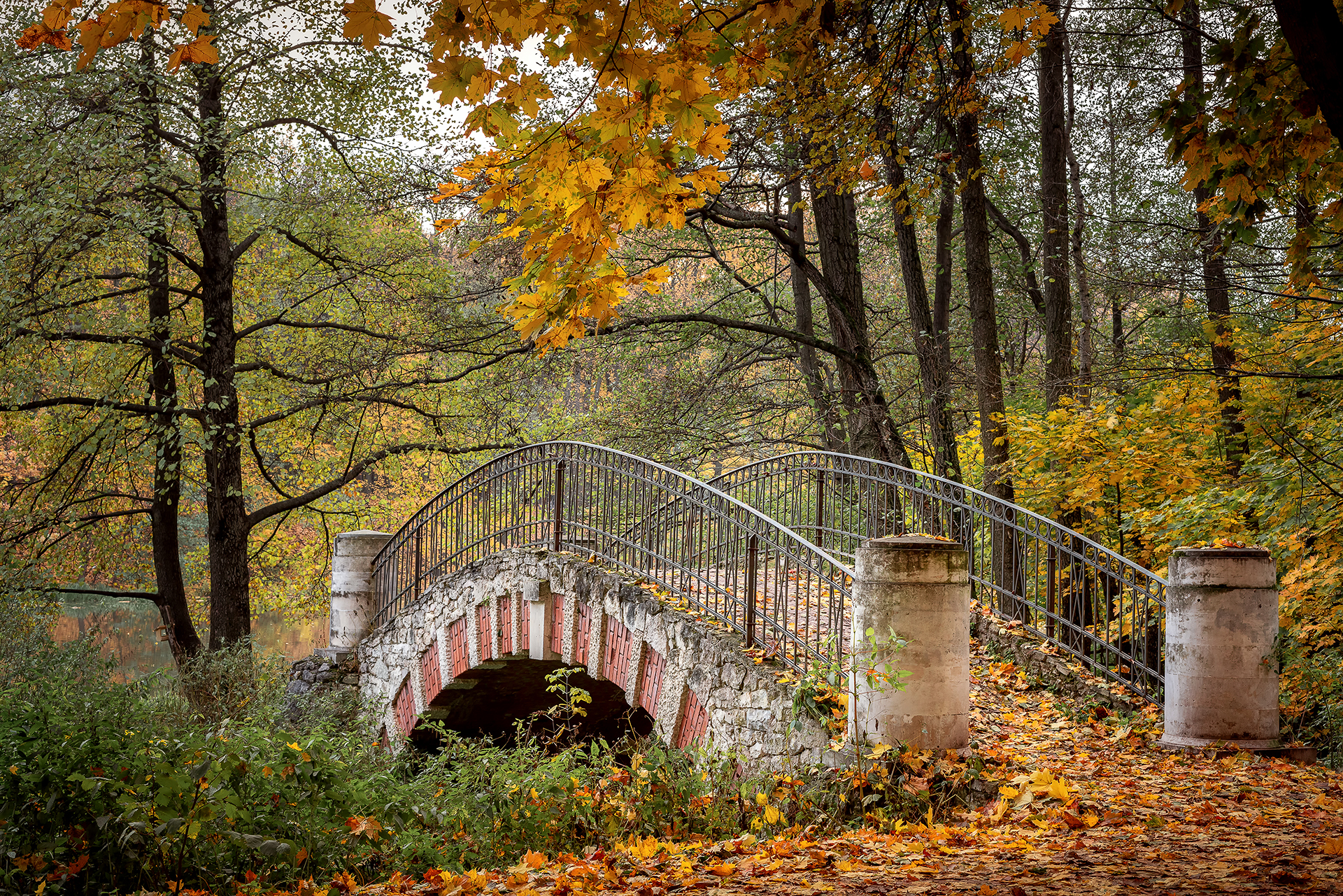 , Завьялова Людмила