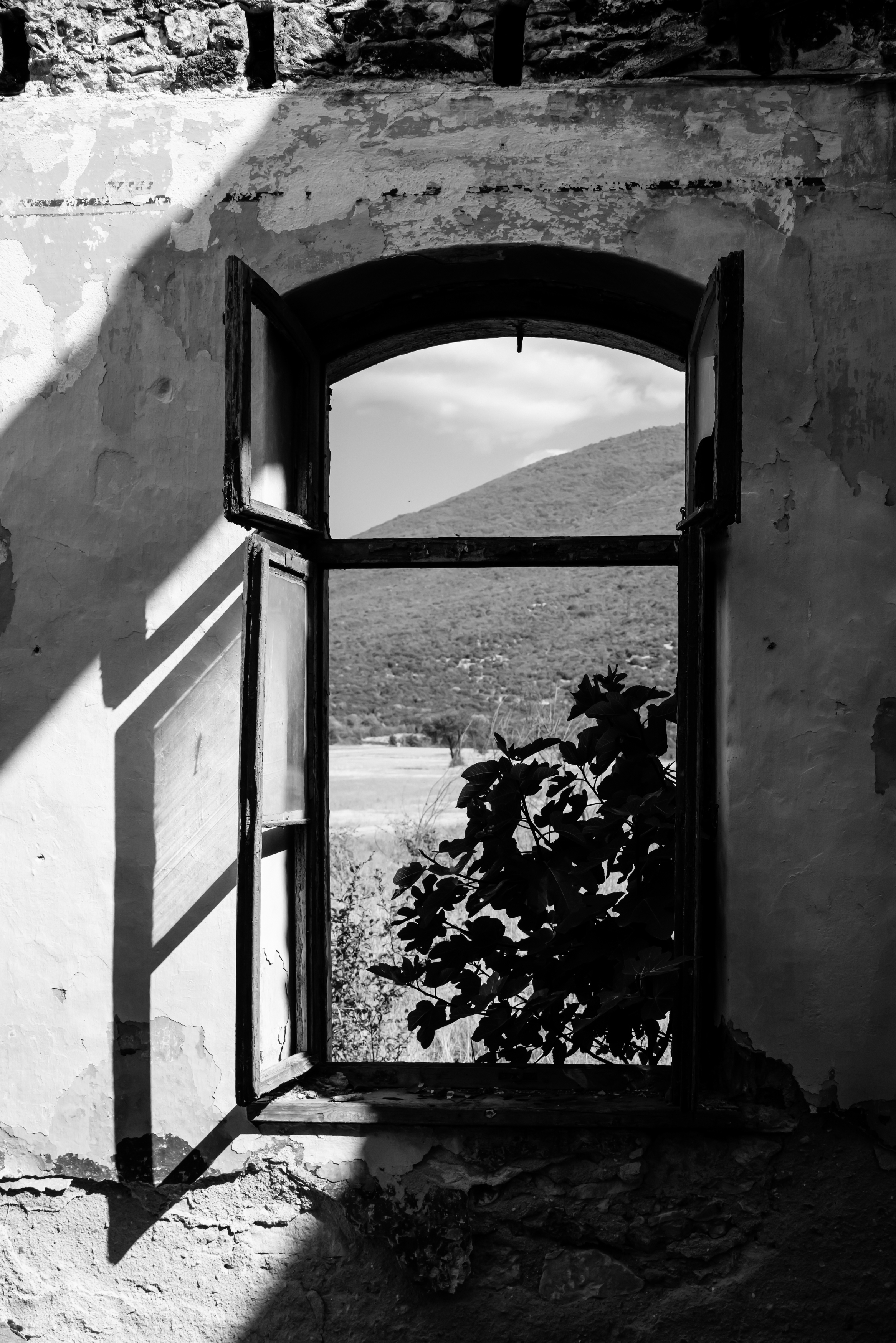 , Александр Шилов