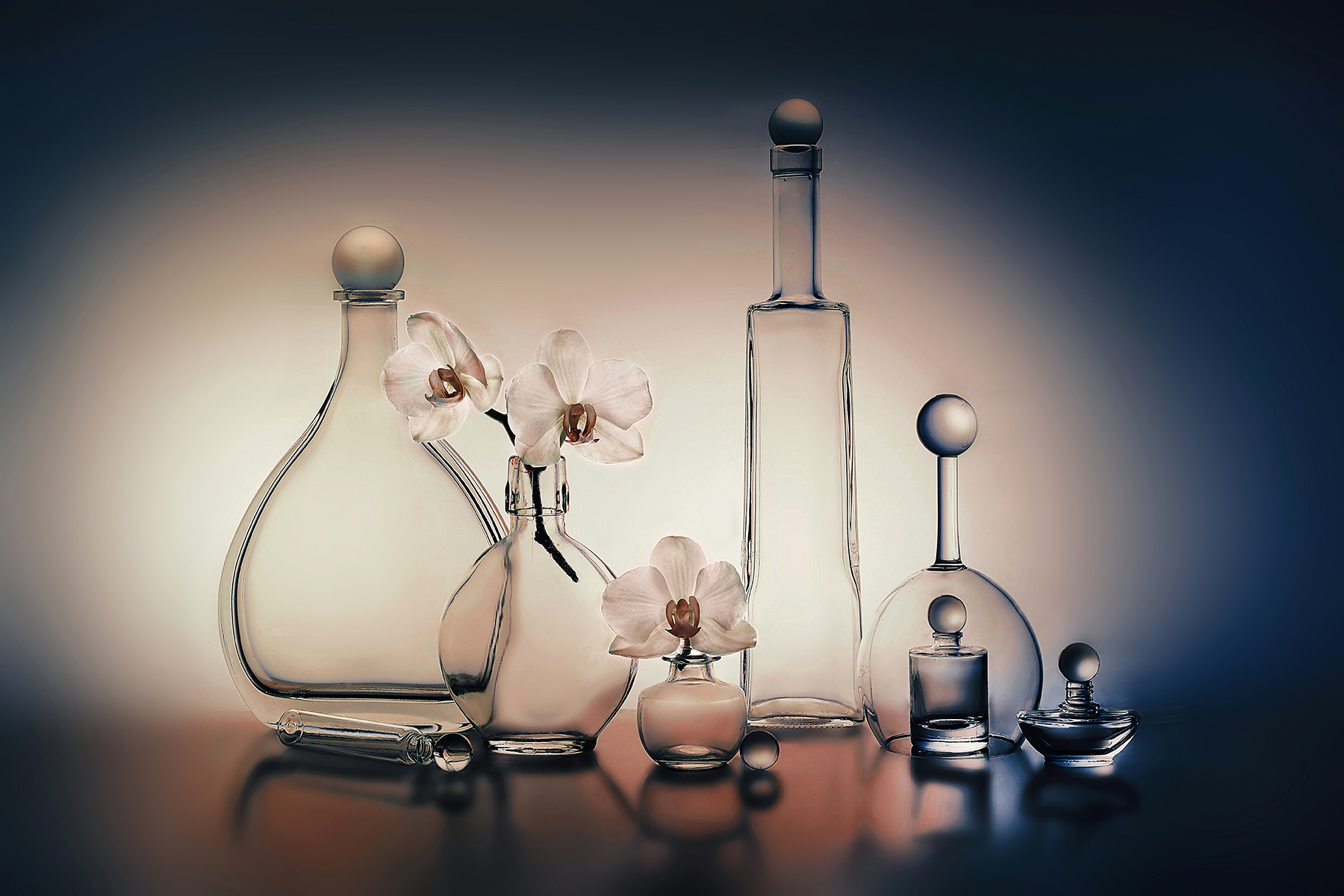 , MVO (Марк Орлов)