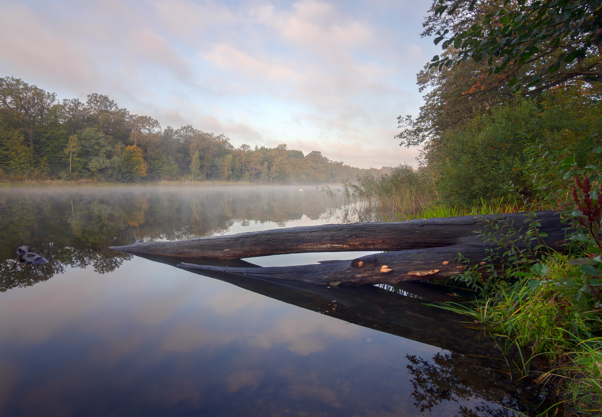 landscape, lake, morning, fog, Виктор Тулбанов