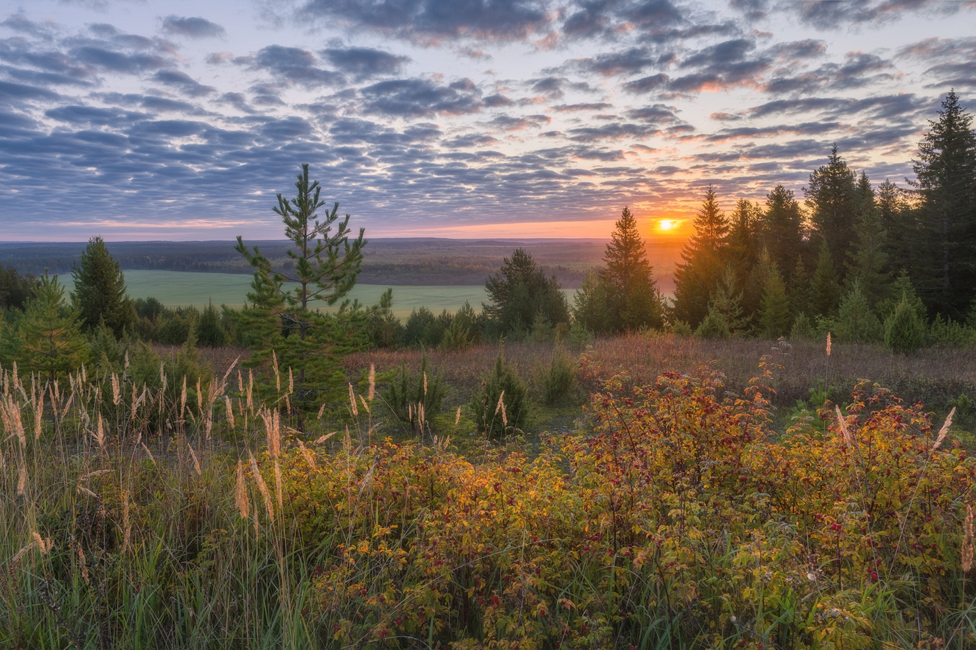 , Михаил Устюжанин