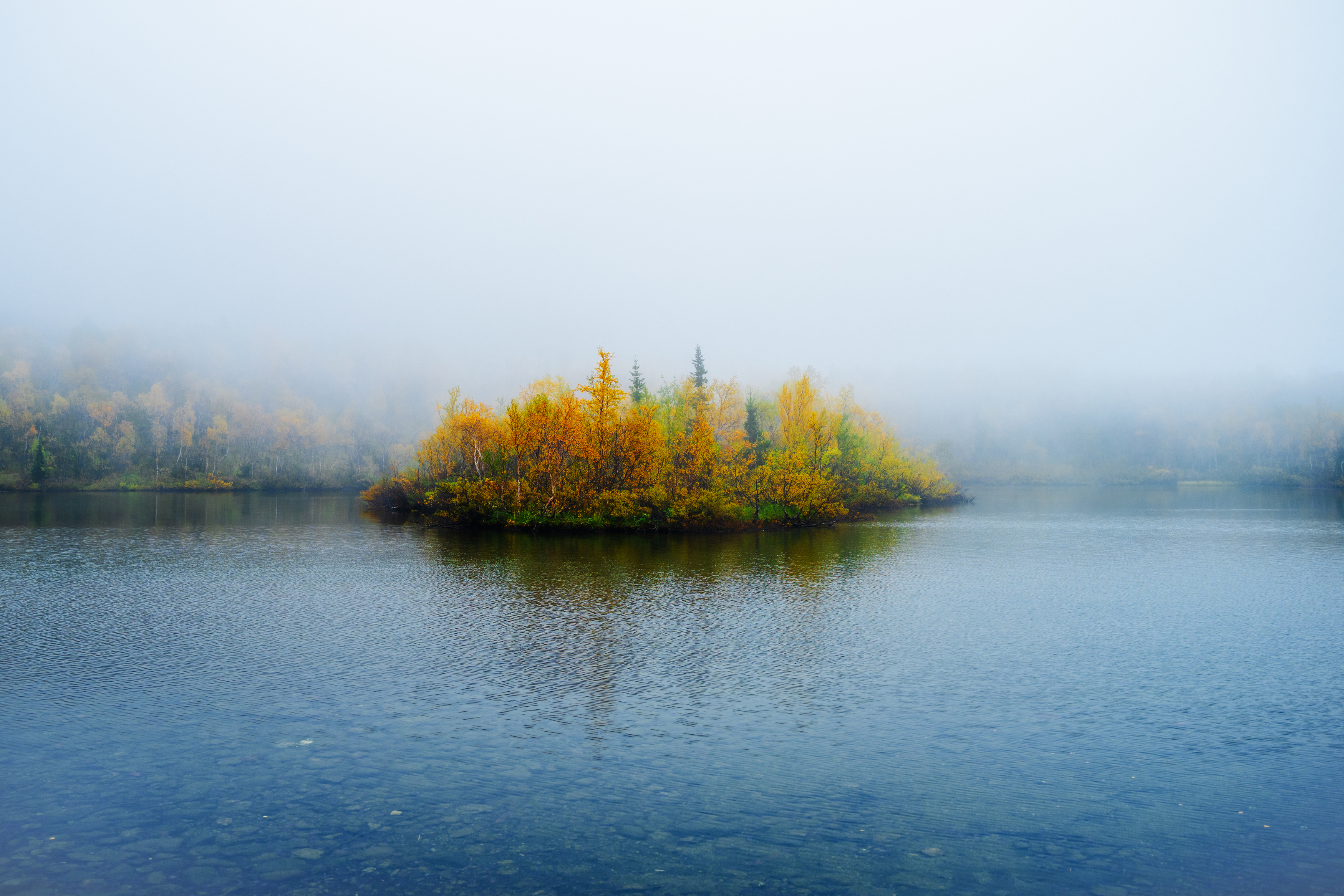 , Гуринович Дмитрий