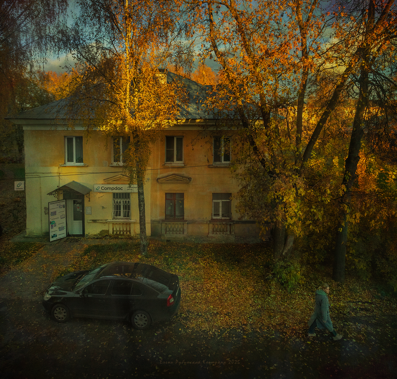 кострома, Елена Рубинская