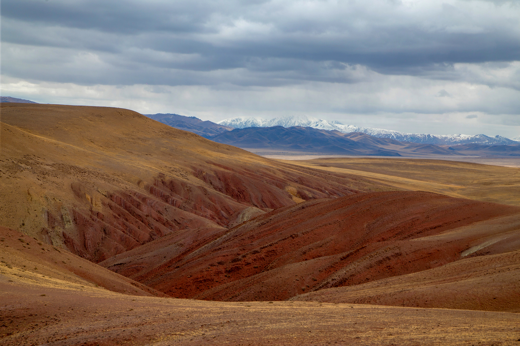 , Евгений Зинов
