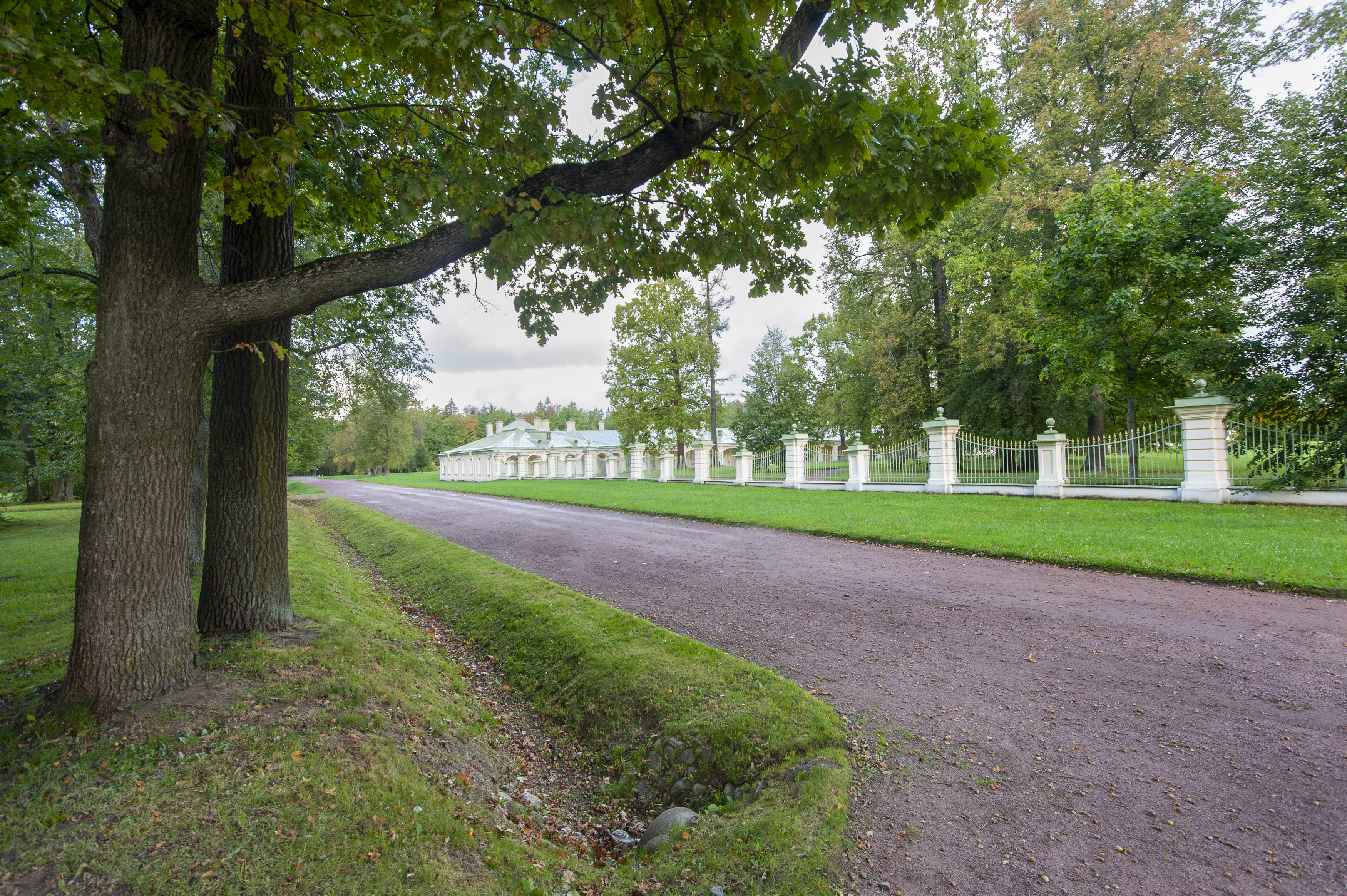 , Георгий Сапожников