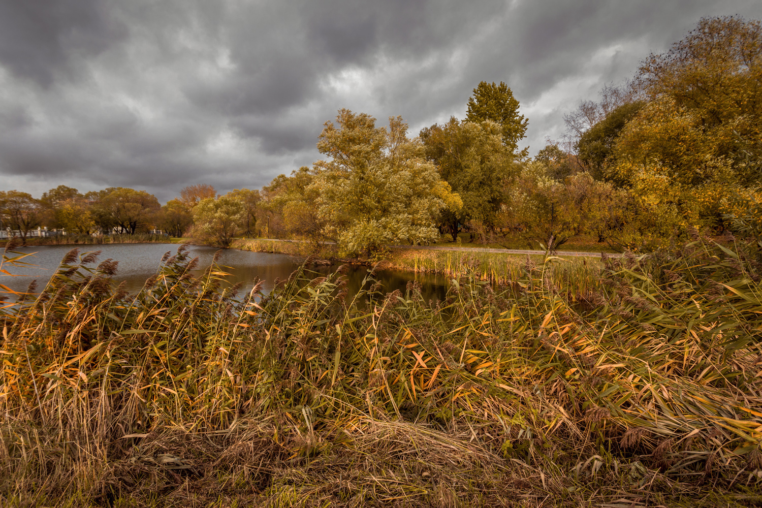 , Алексеев Сергей