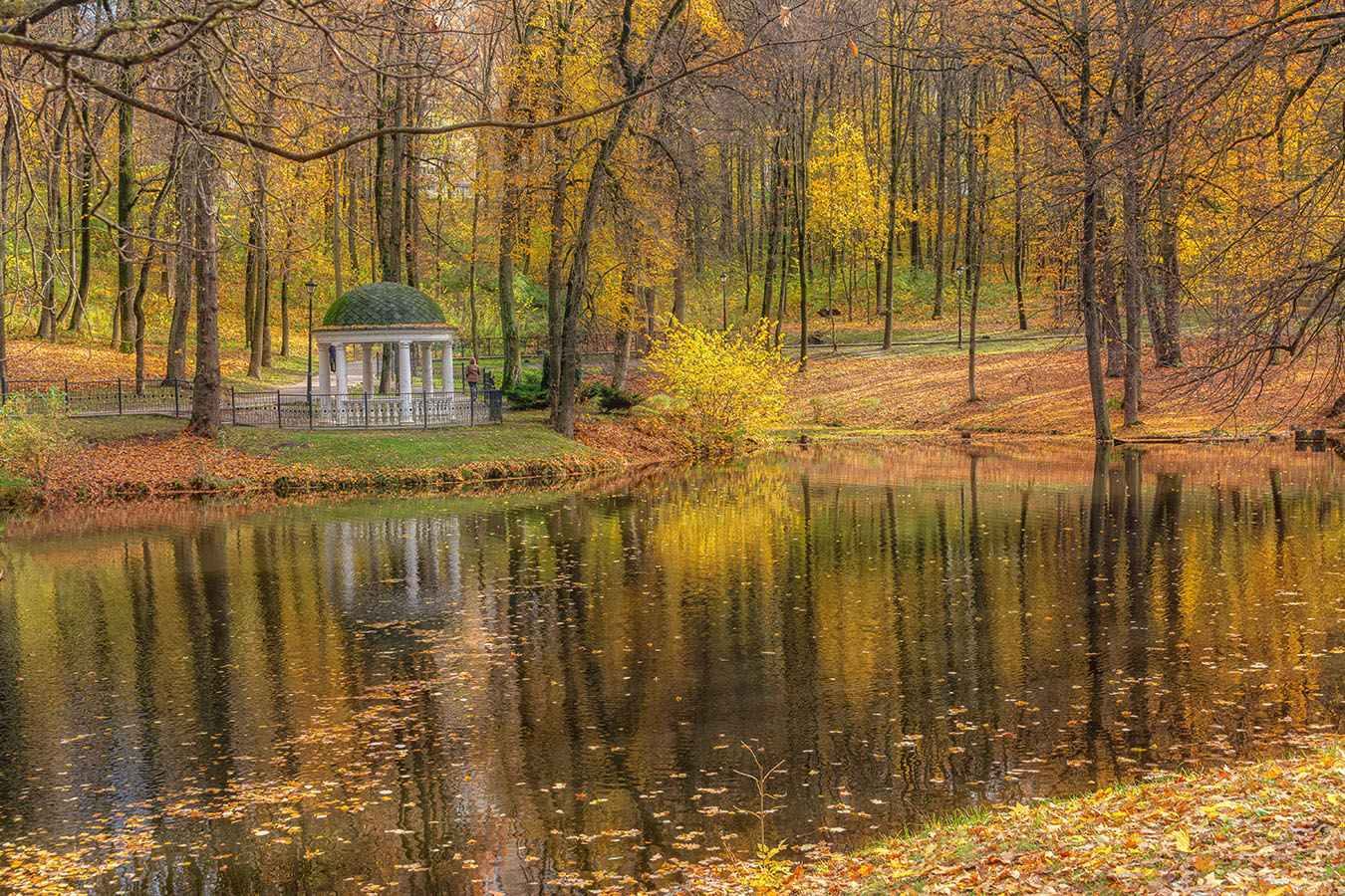 , Анатолий Зверев