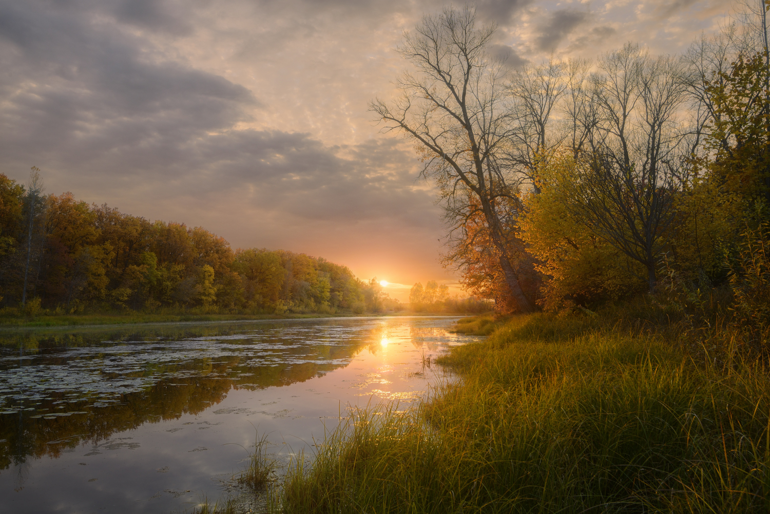 , Александр Тормосин