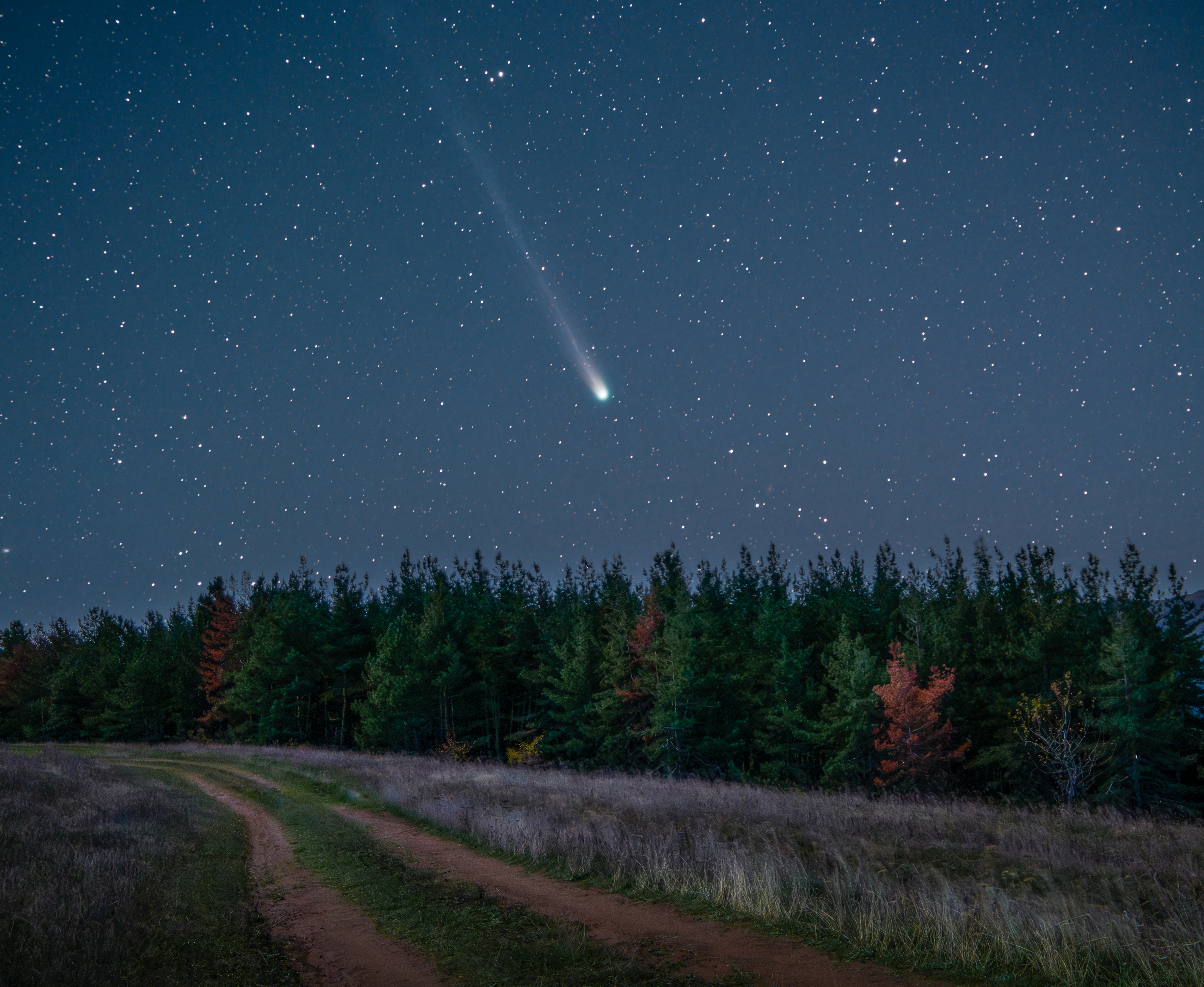 #comet, #lemmon, #astrophotography, Saba Gloveli