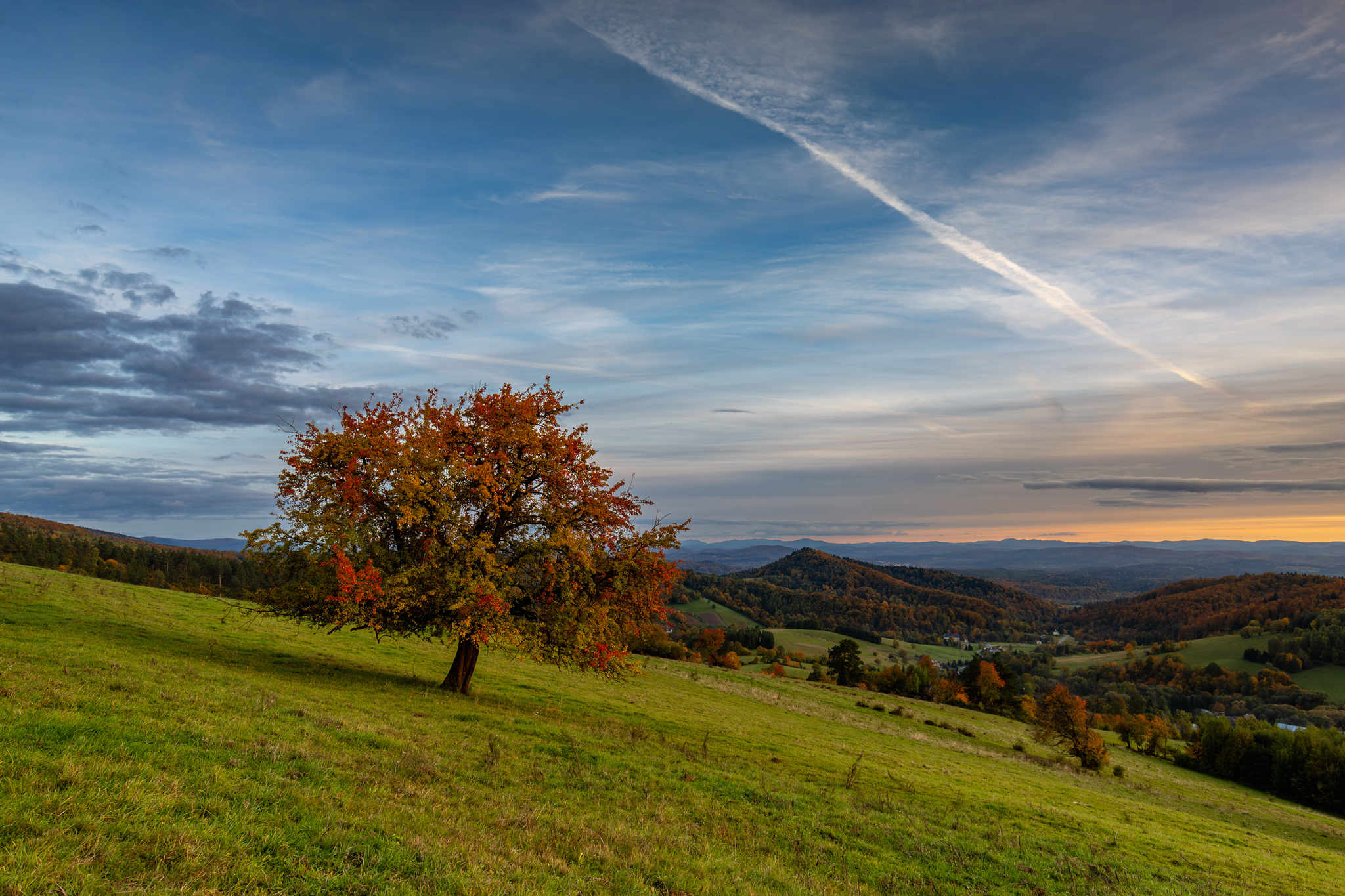 ,  Mirosław Pruchnicki
