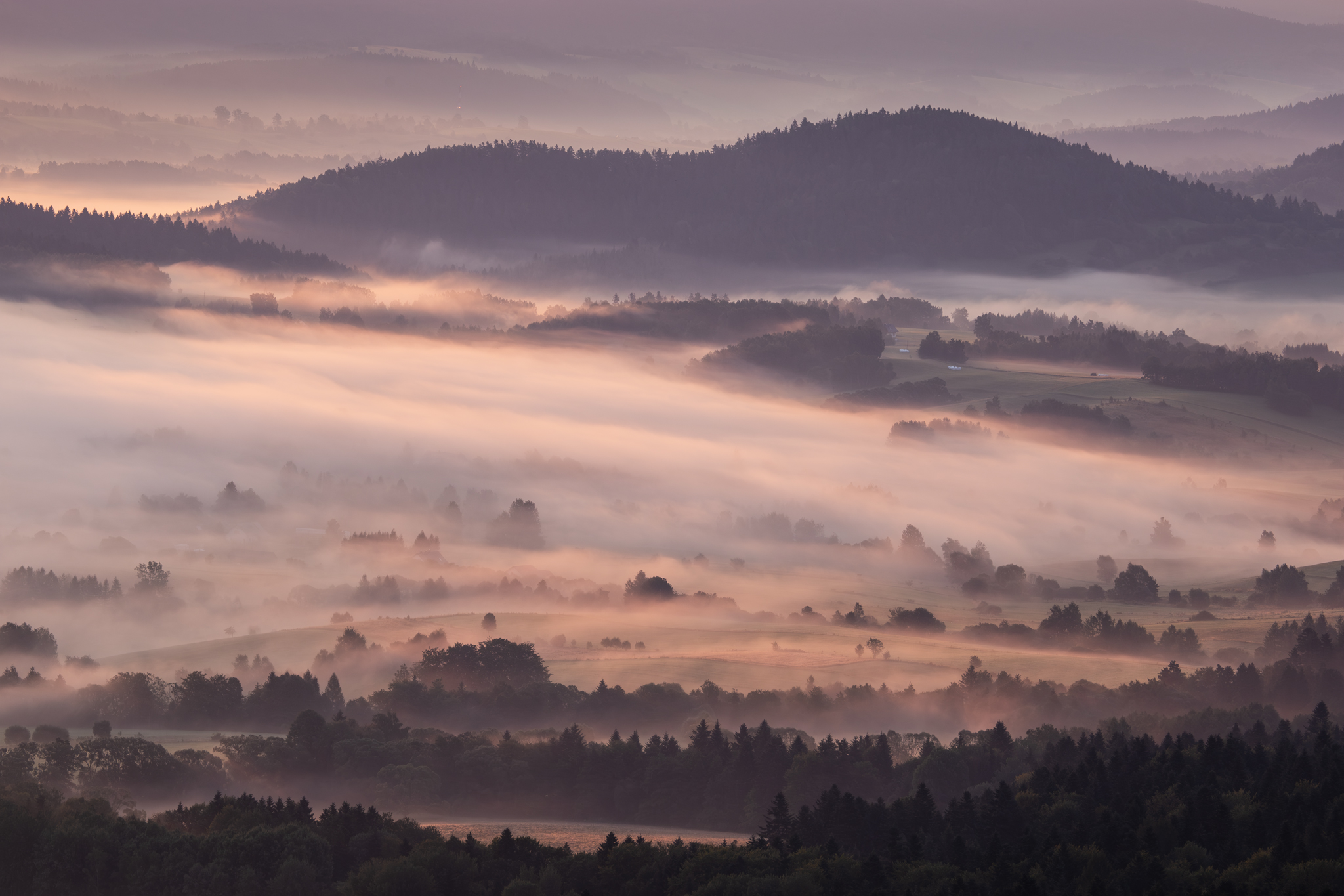 ,  Mirosław Pruchnicki