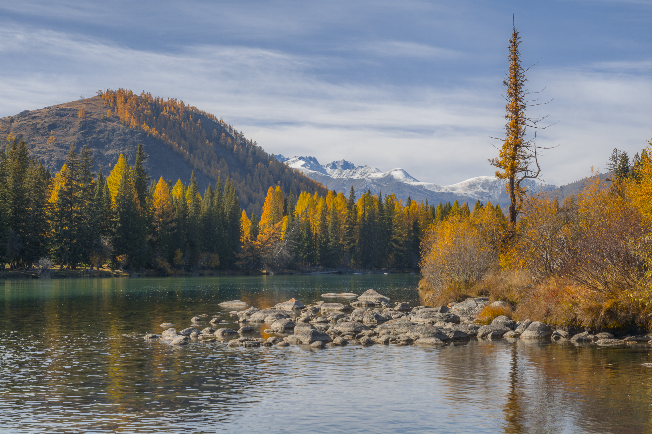 россия, горный алтай, река, осень, Андрей Поляков