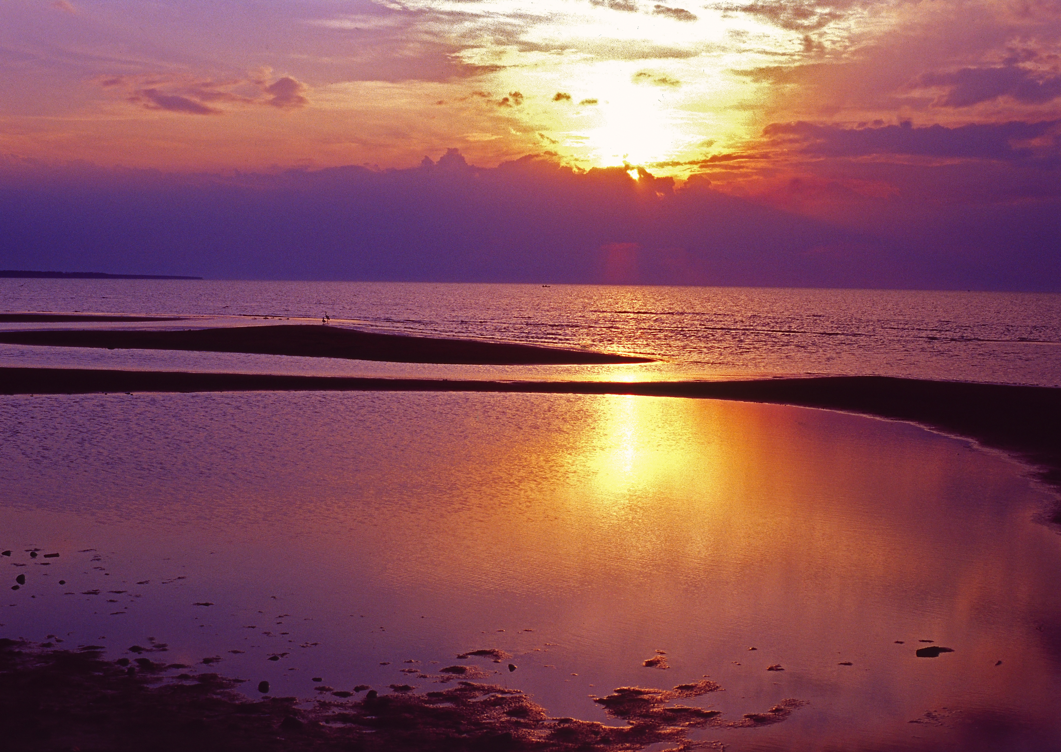 , Андрей Петросян