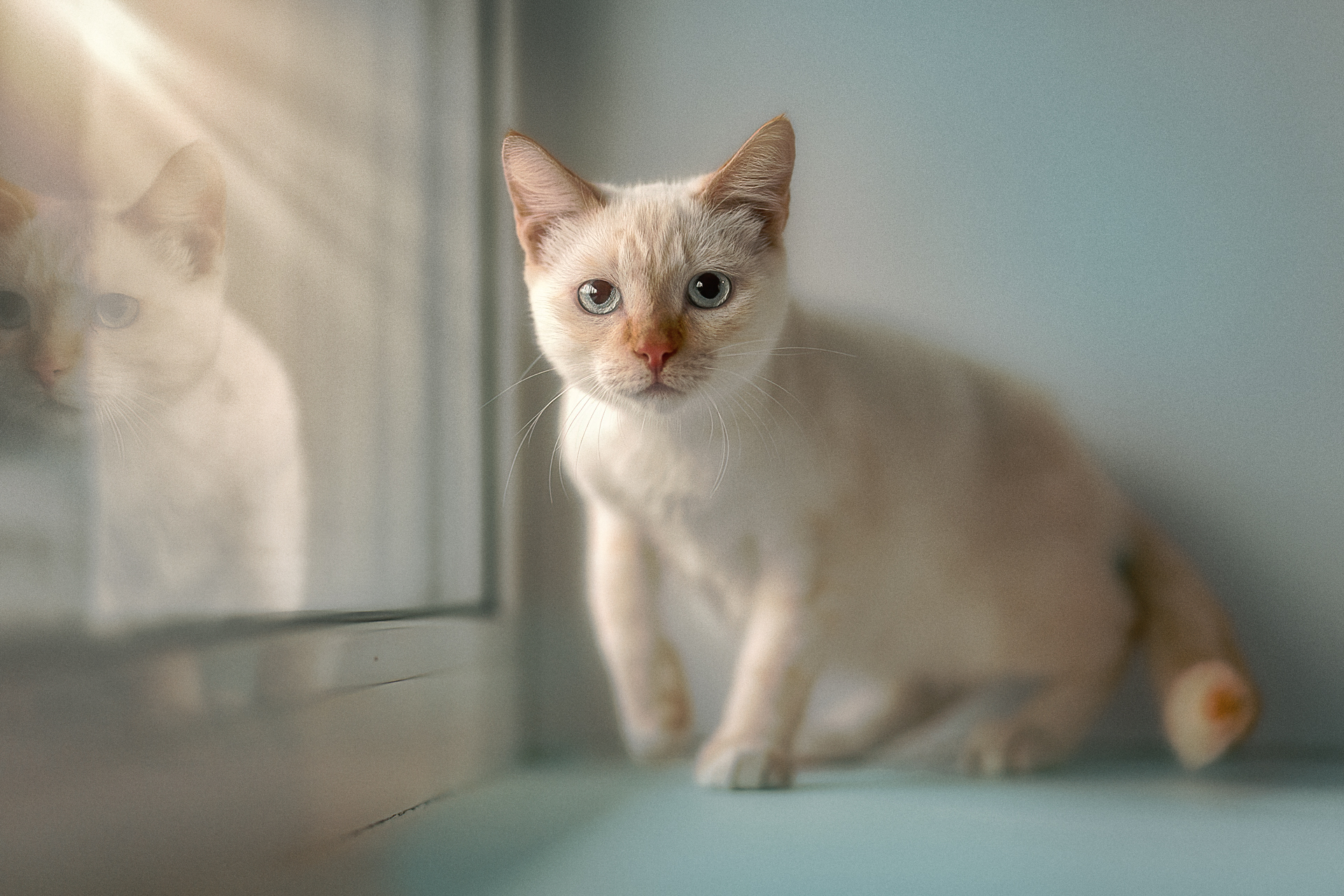 , Холудеев Виктор