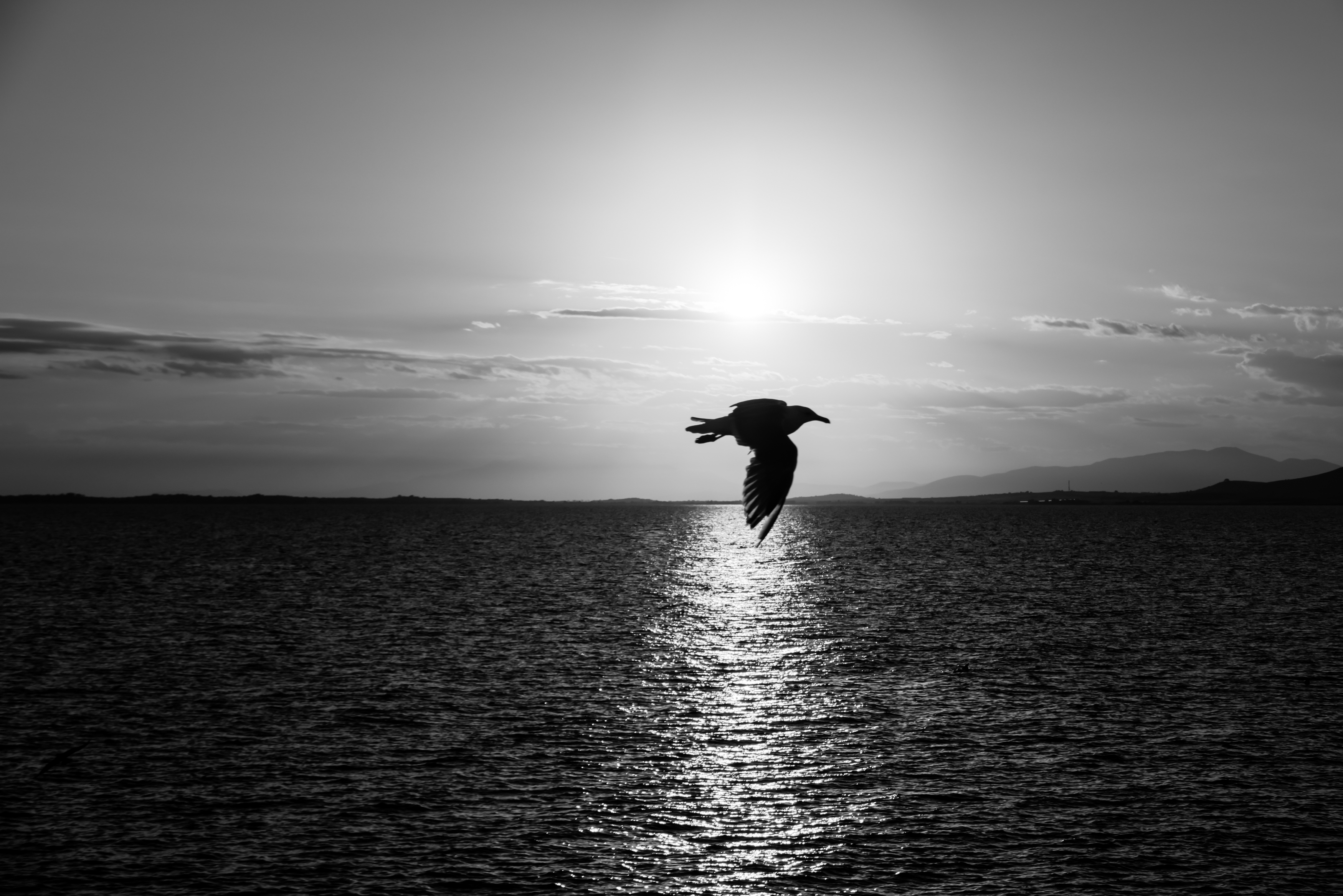 , Александр Шилов