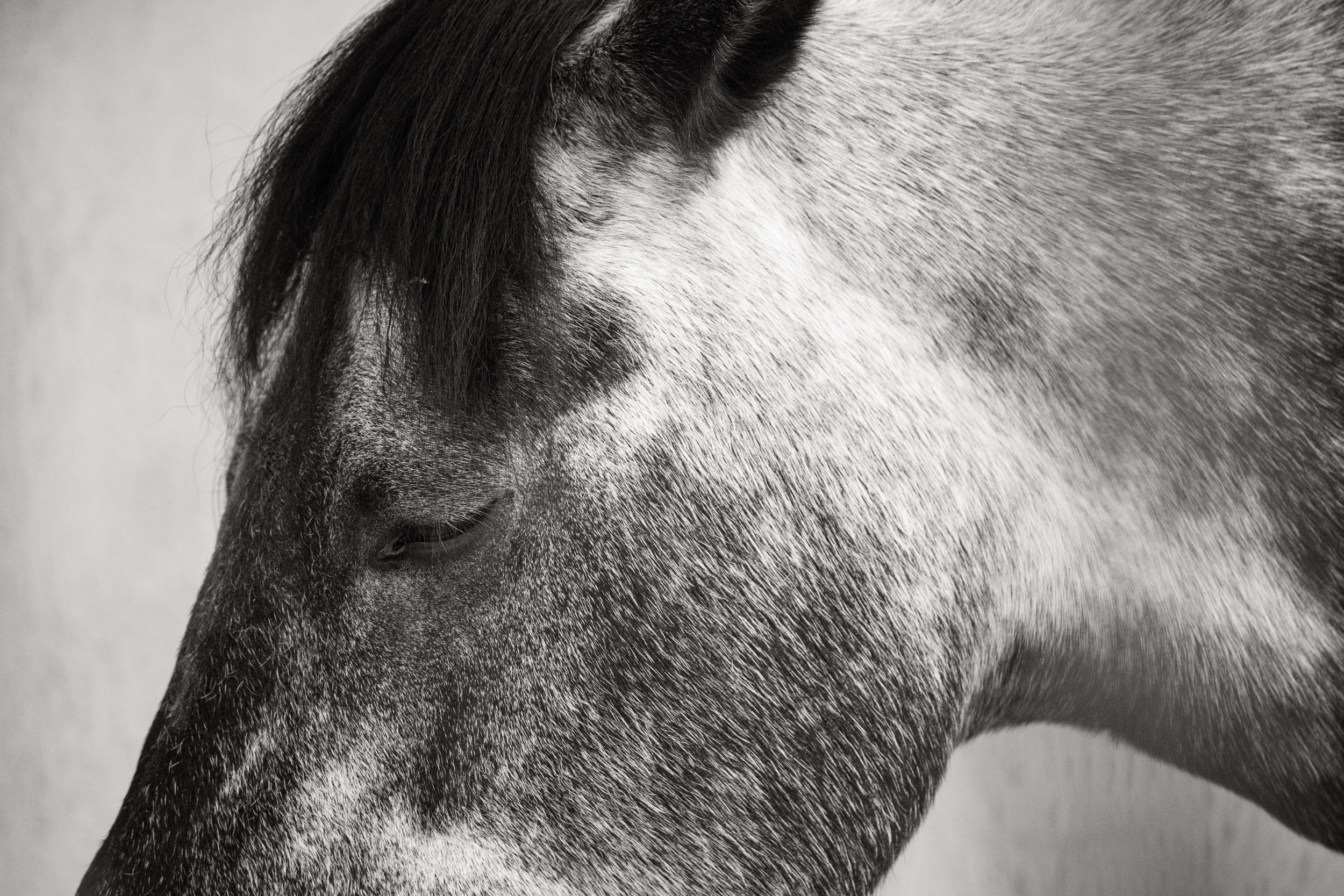 , ssmirs Сергей