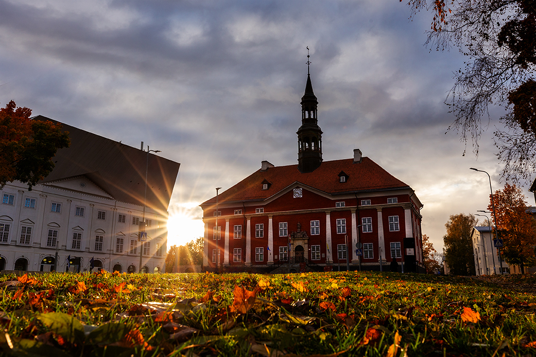нарва ратушная площадь октябрь солнце листья, Четвертной Сергей