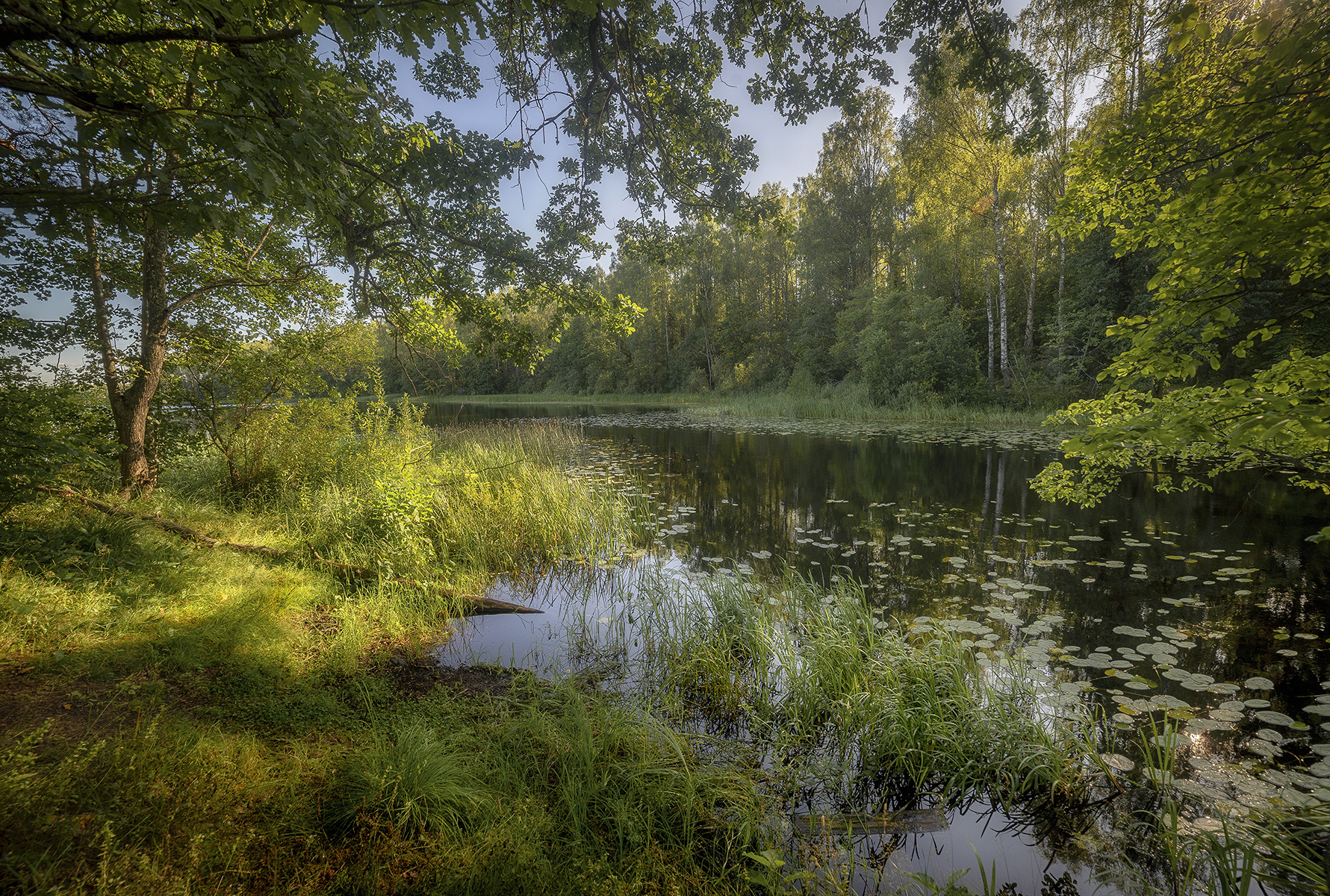 , Сергей Аникин