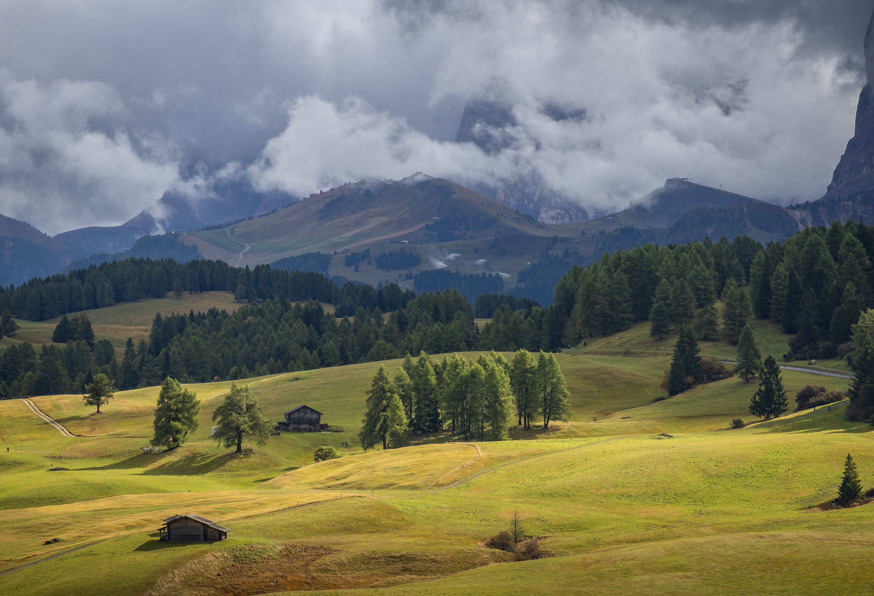 , Алекс Римский