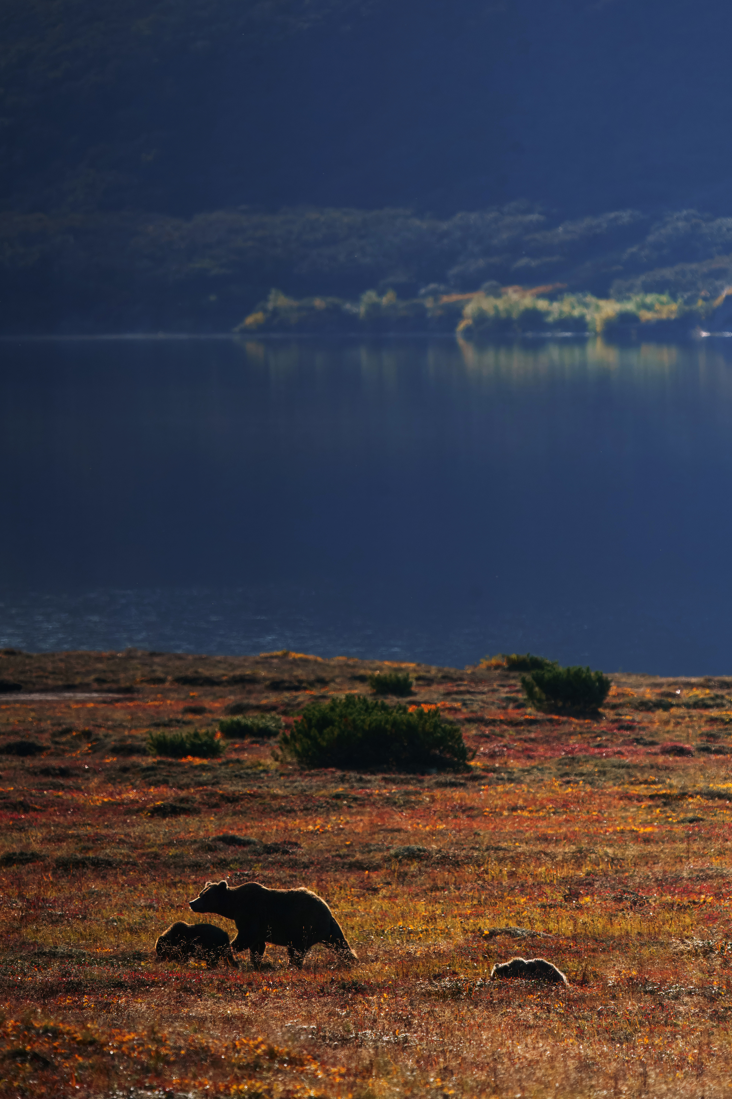 , Дарина Соболь