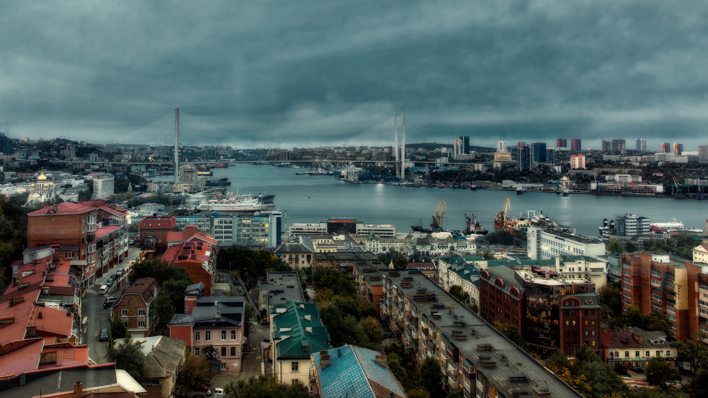 , Герц Дмитрий