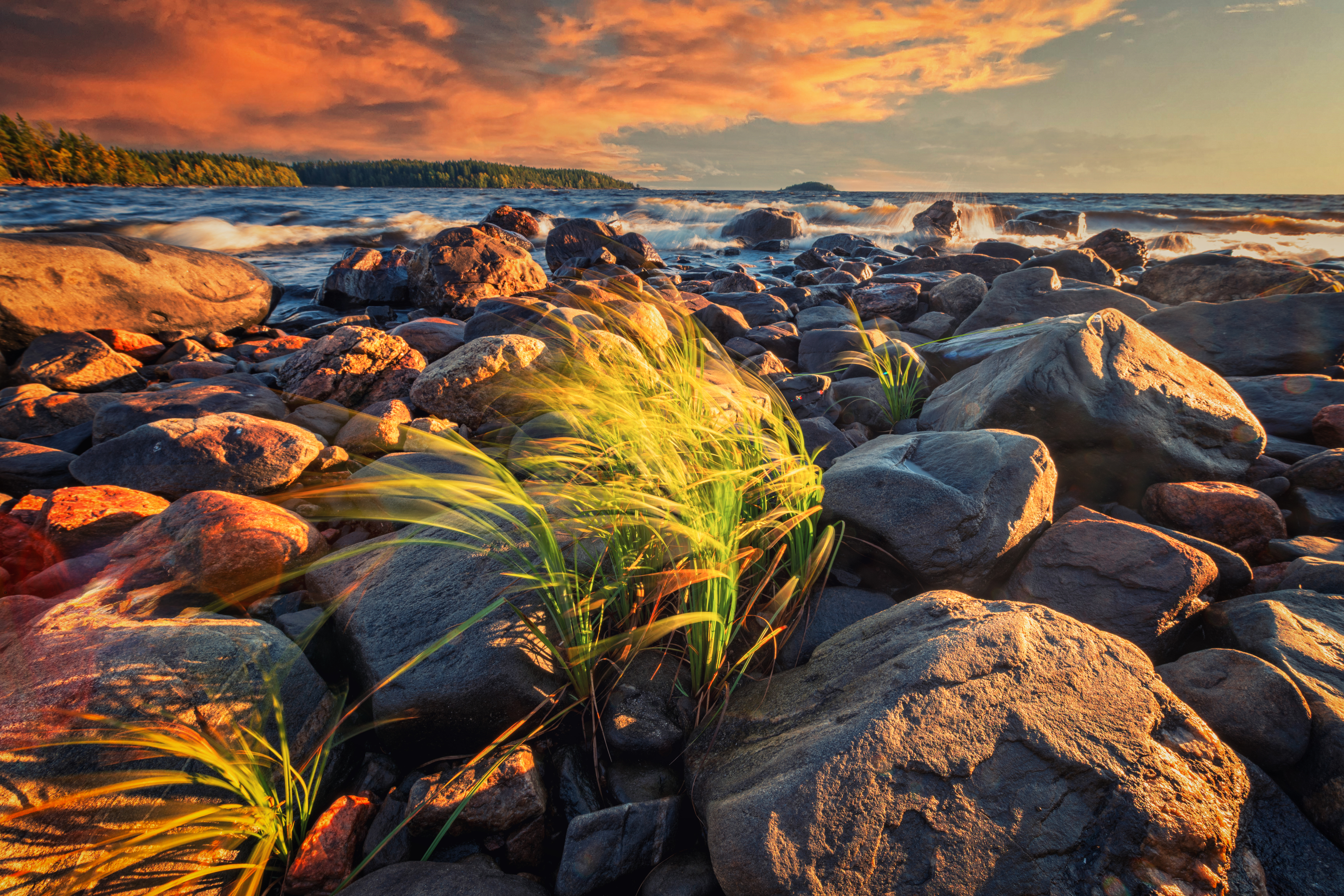 , Гуринович Дмитрий