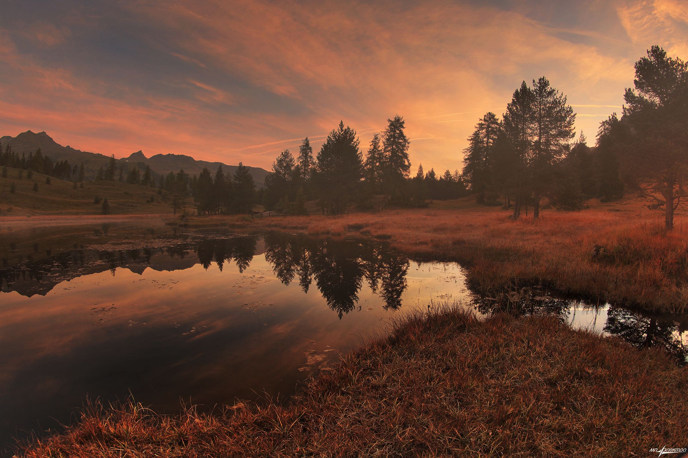 swiss, Матвеев Николай