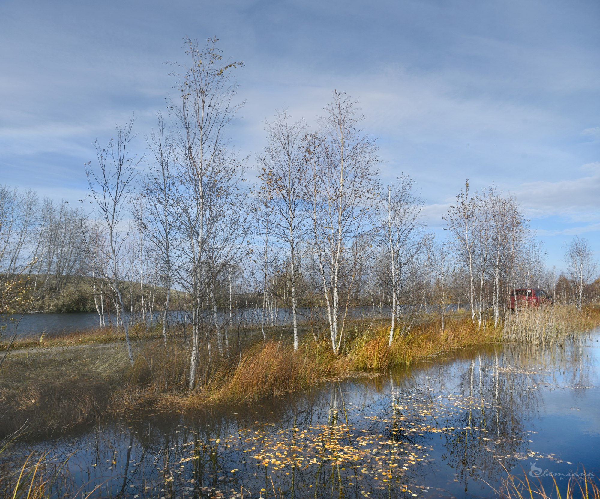 , Крат Светлана