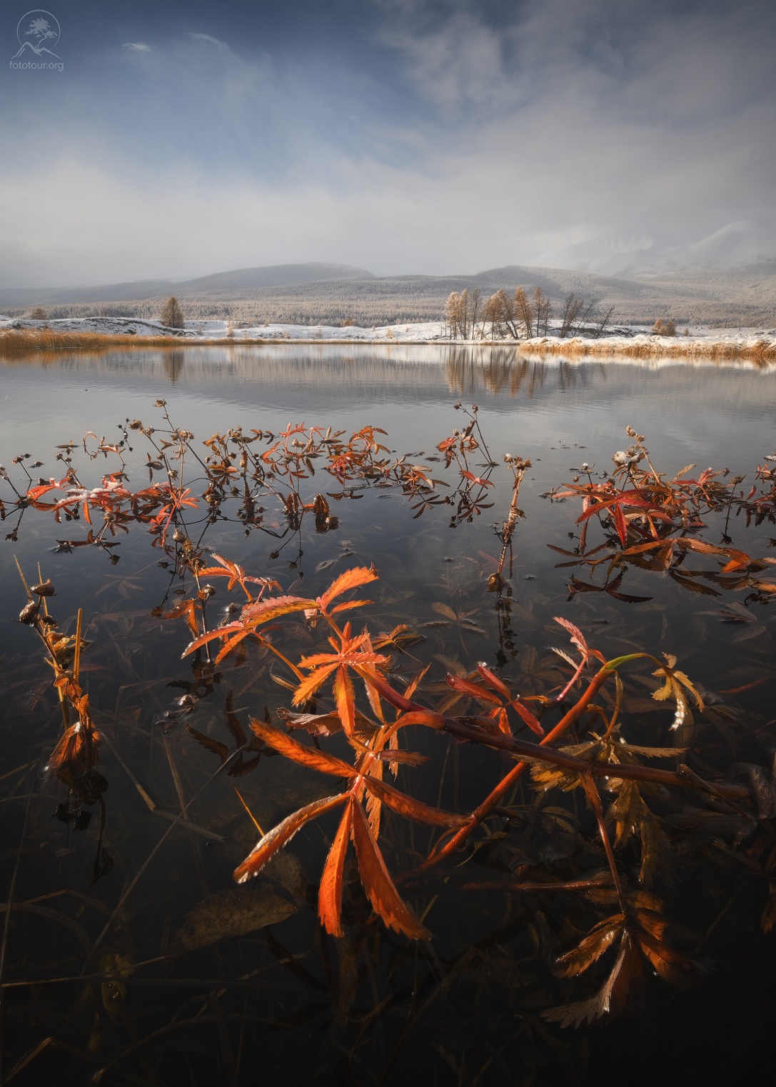 алтай, лиственницы, осень, горы, горный алтай, республика алтай, курай, фототур на алтай, осенний фототур на алтай, Гордиенко Анатолий