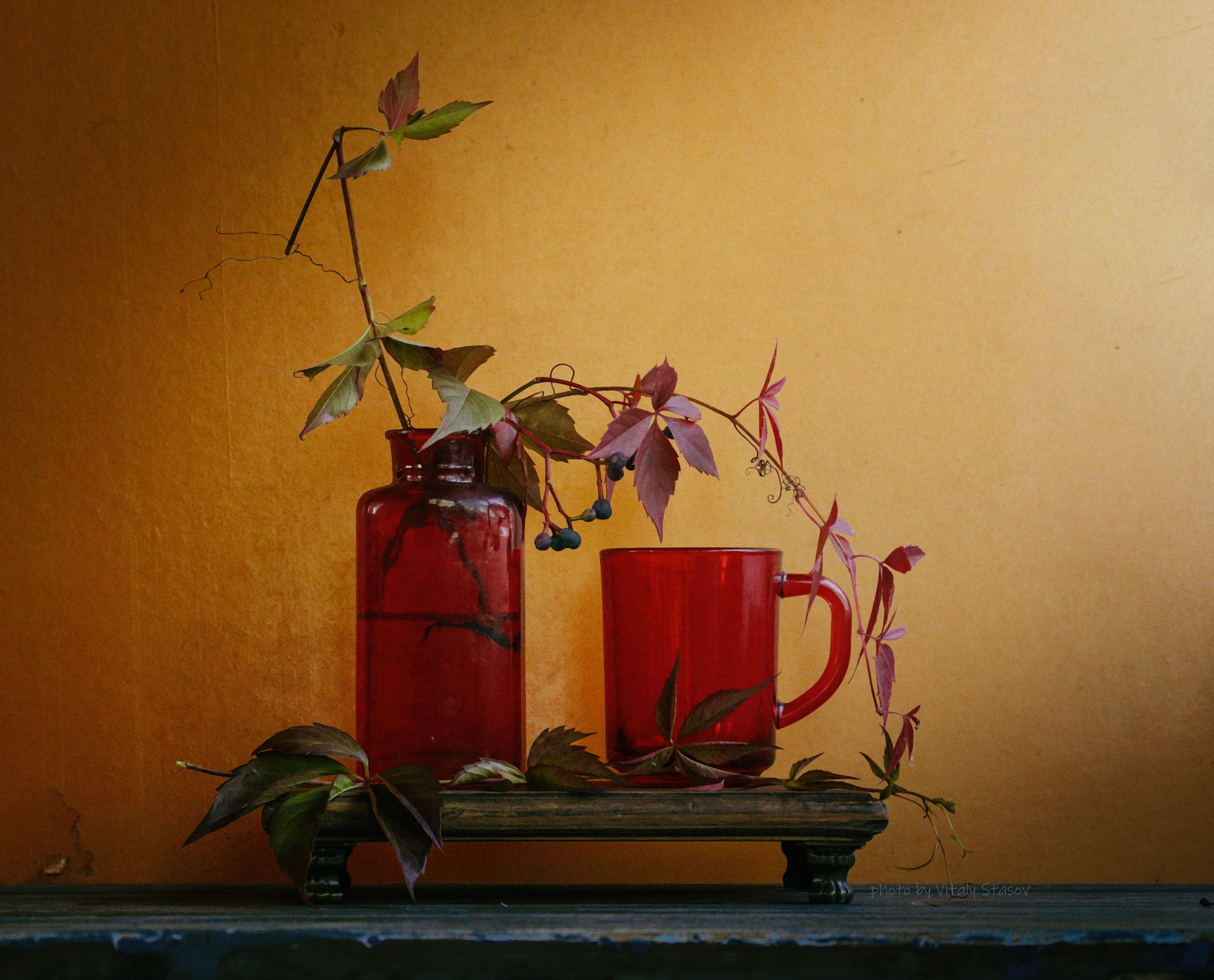 натюрморт, осенний, дикий, виноград, акварель, минимализм, оранжевый, желтый, красный, minimalism, still life, Стасов Виталий