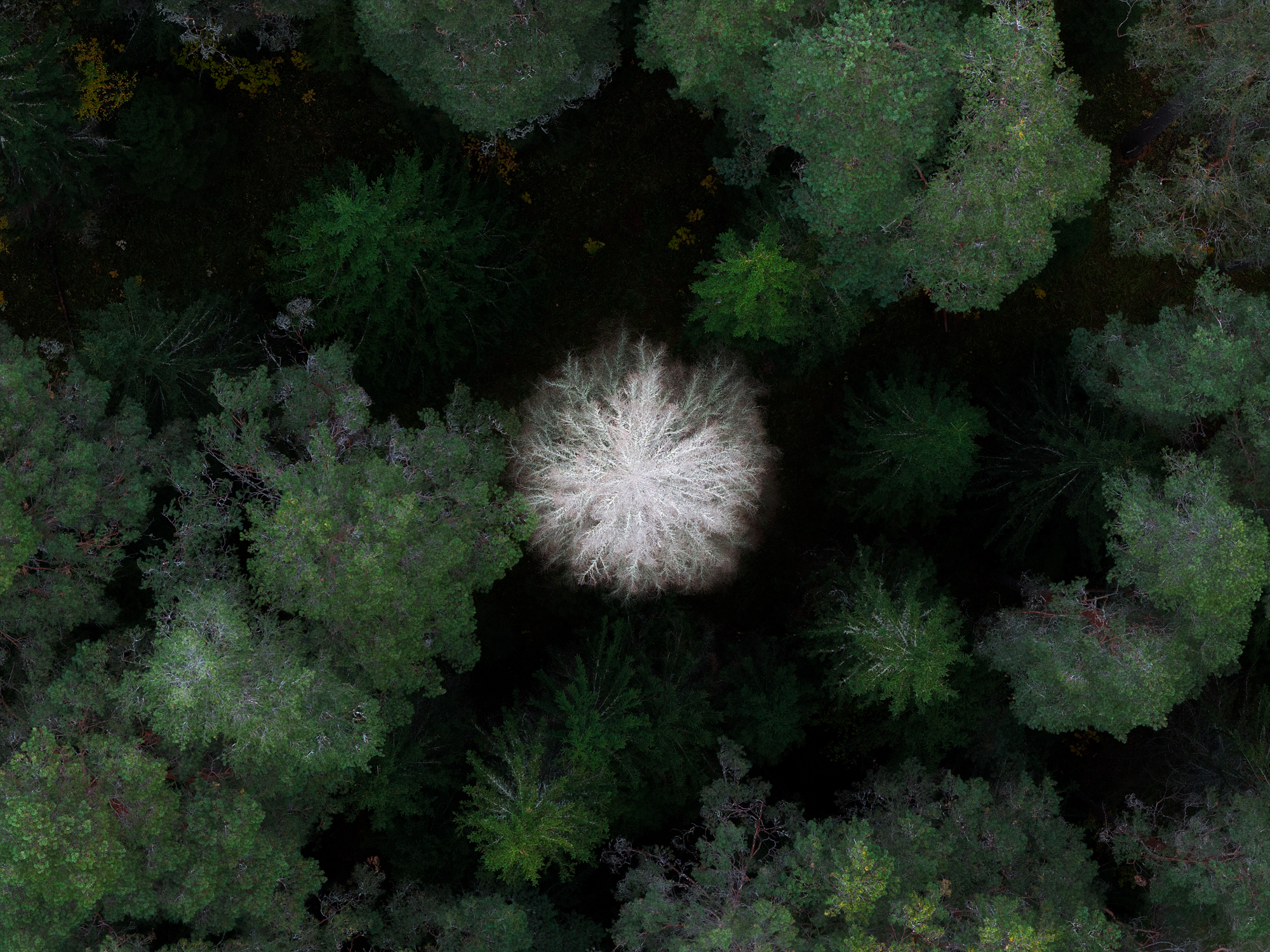 Валаам, Кондратенко Руслан