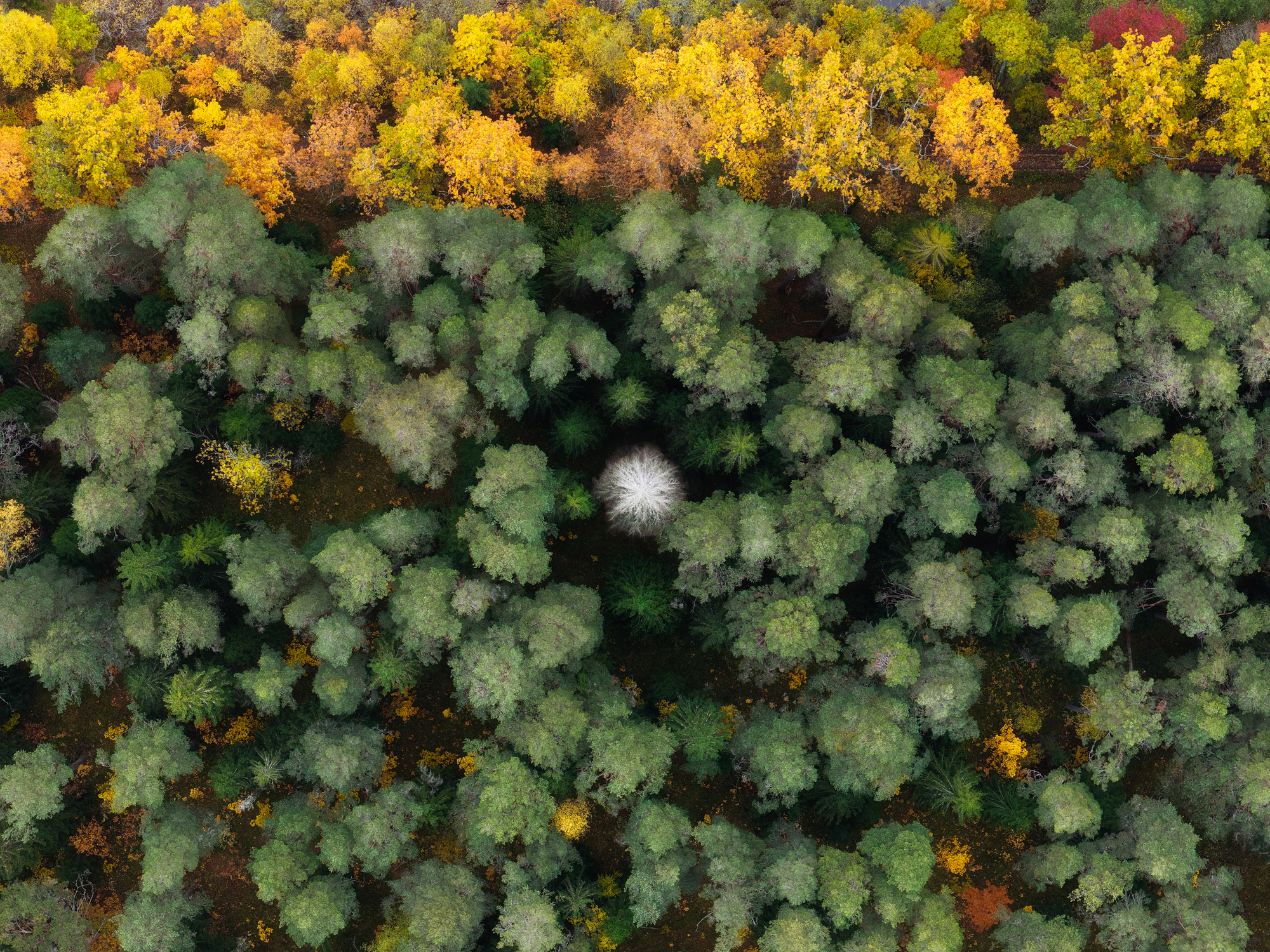 Валаам, Кондратенко Руслан