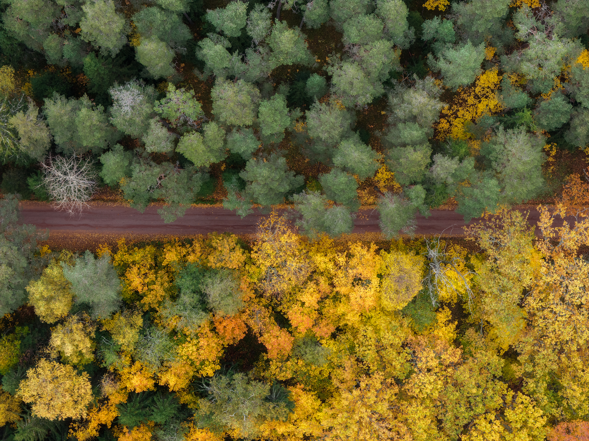 Валаам, Кондратенко Руслан