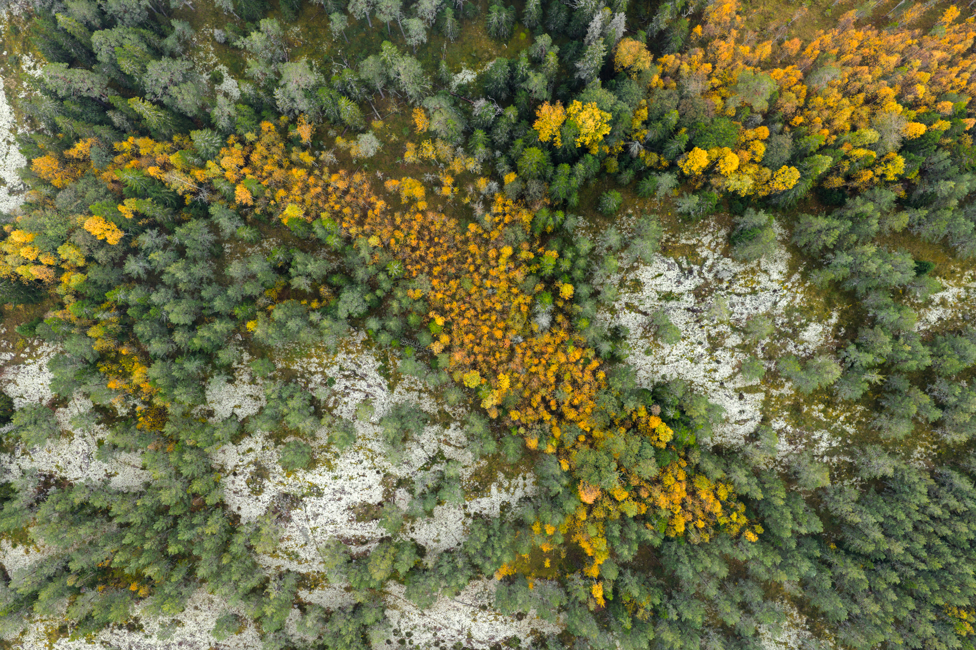 Валаам, Кондратенко Руслан