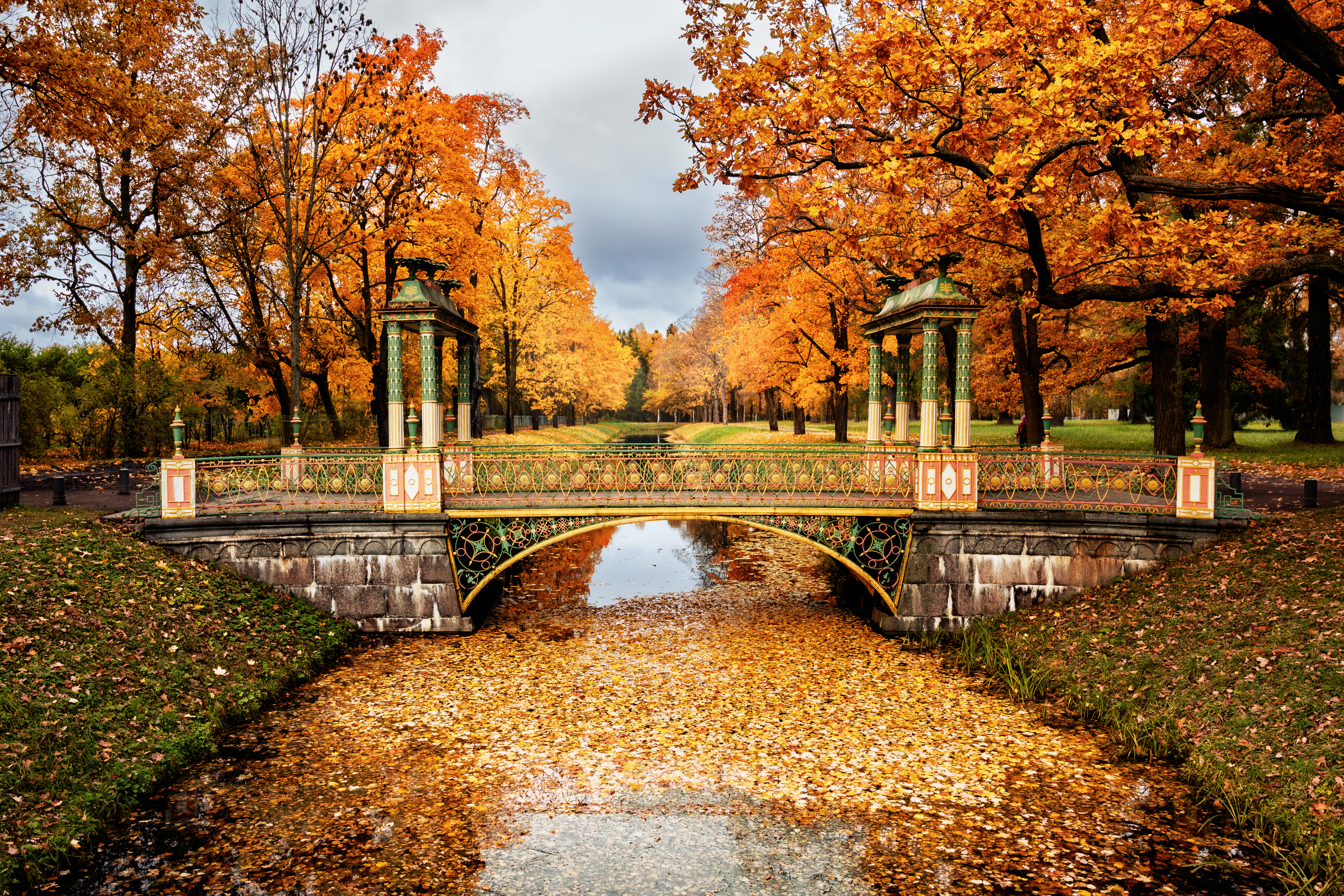 , Дьяченко Алёна