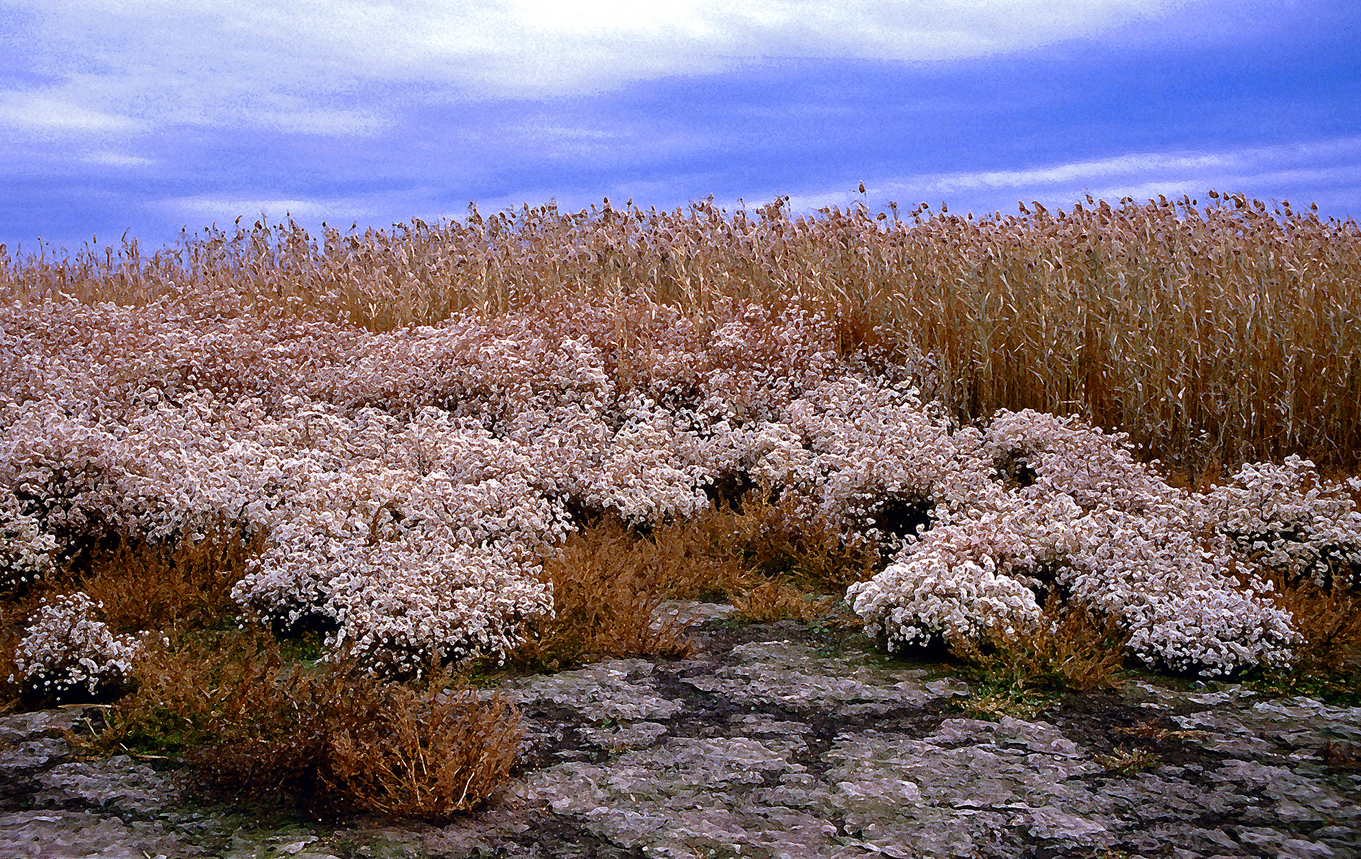, Андрей Петросян