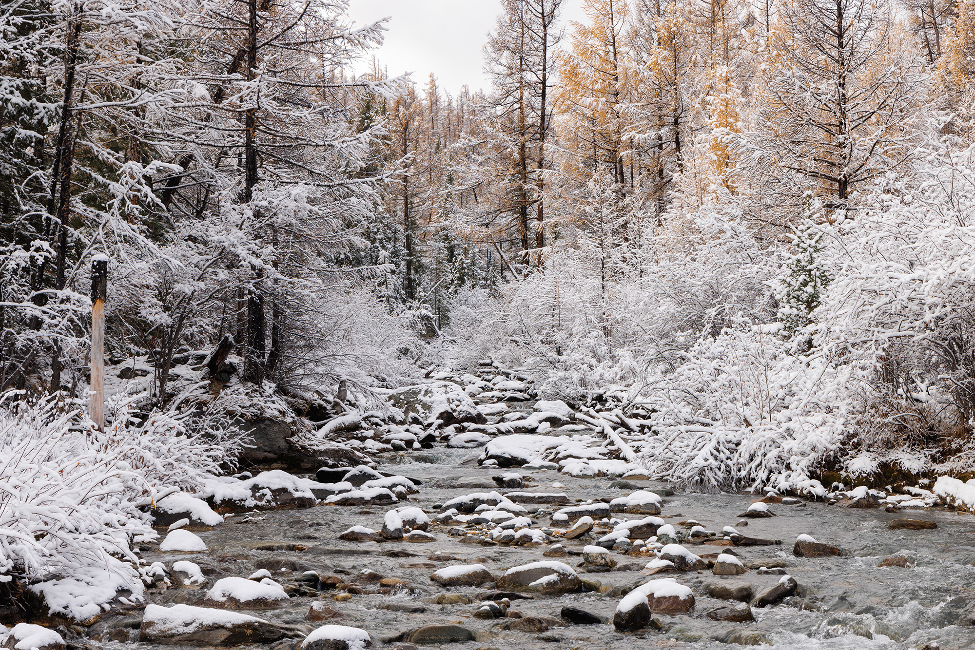 , Морозов Сергей