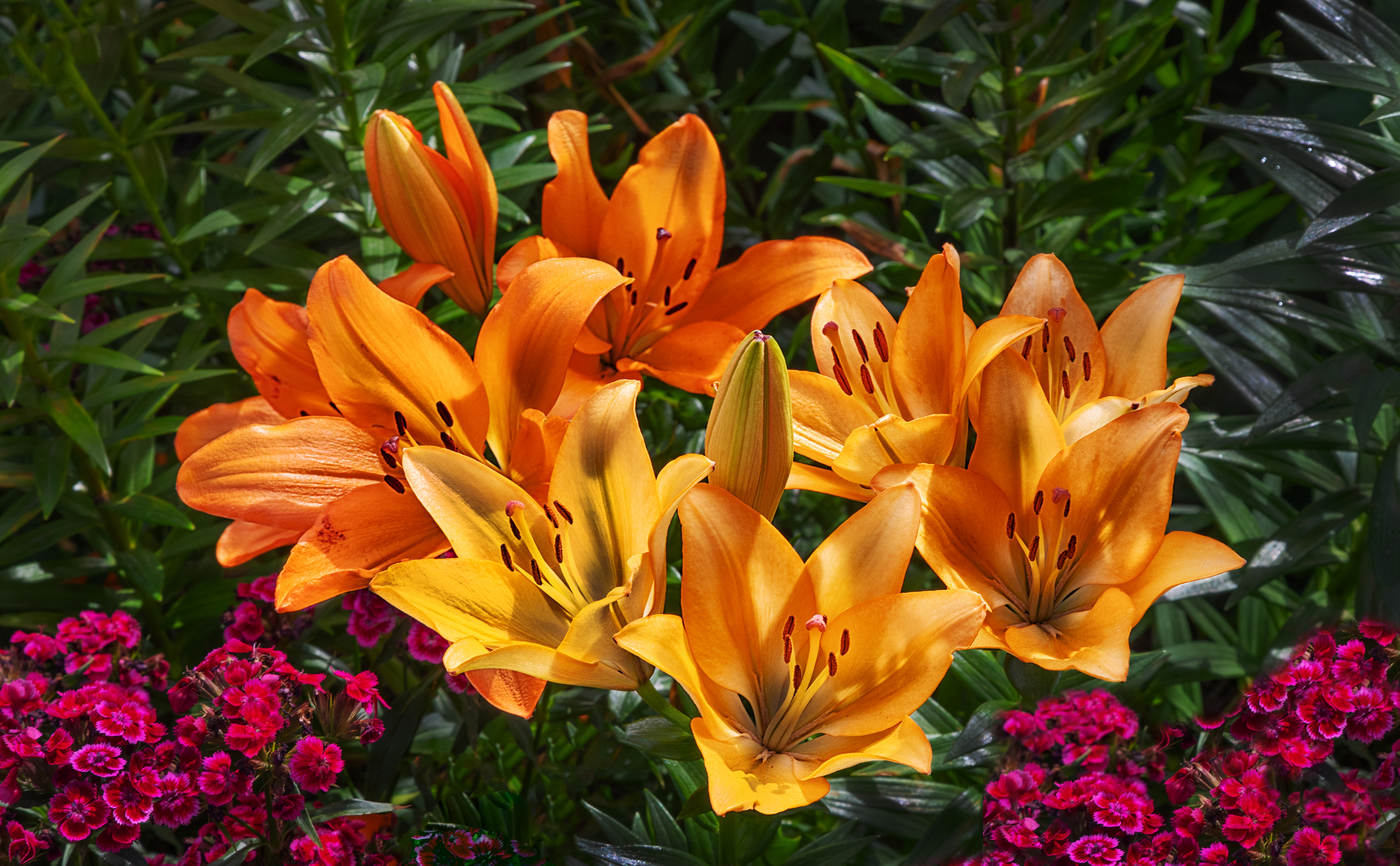 , Ушаков Валерий