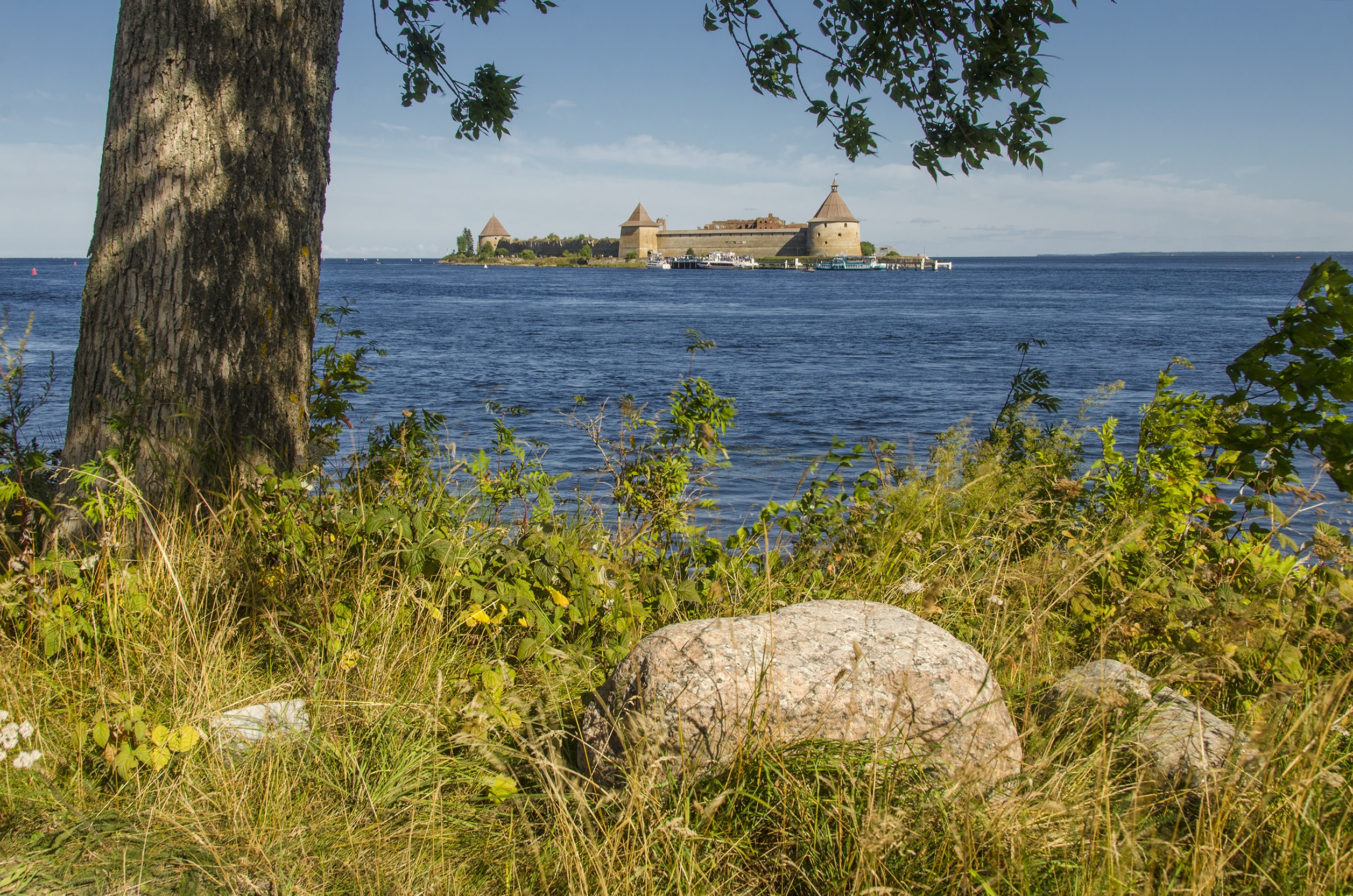 , Алексей Алешин