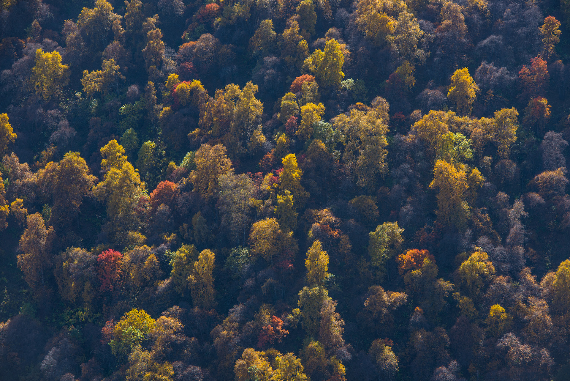 северное приэльбрусье, урочище аурсентх, кабардино-балкария, Хасан Журтов