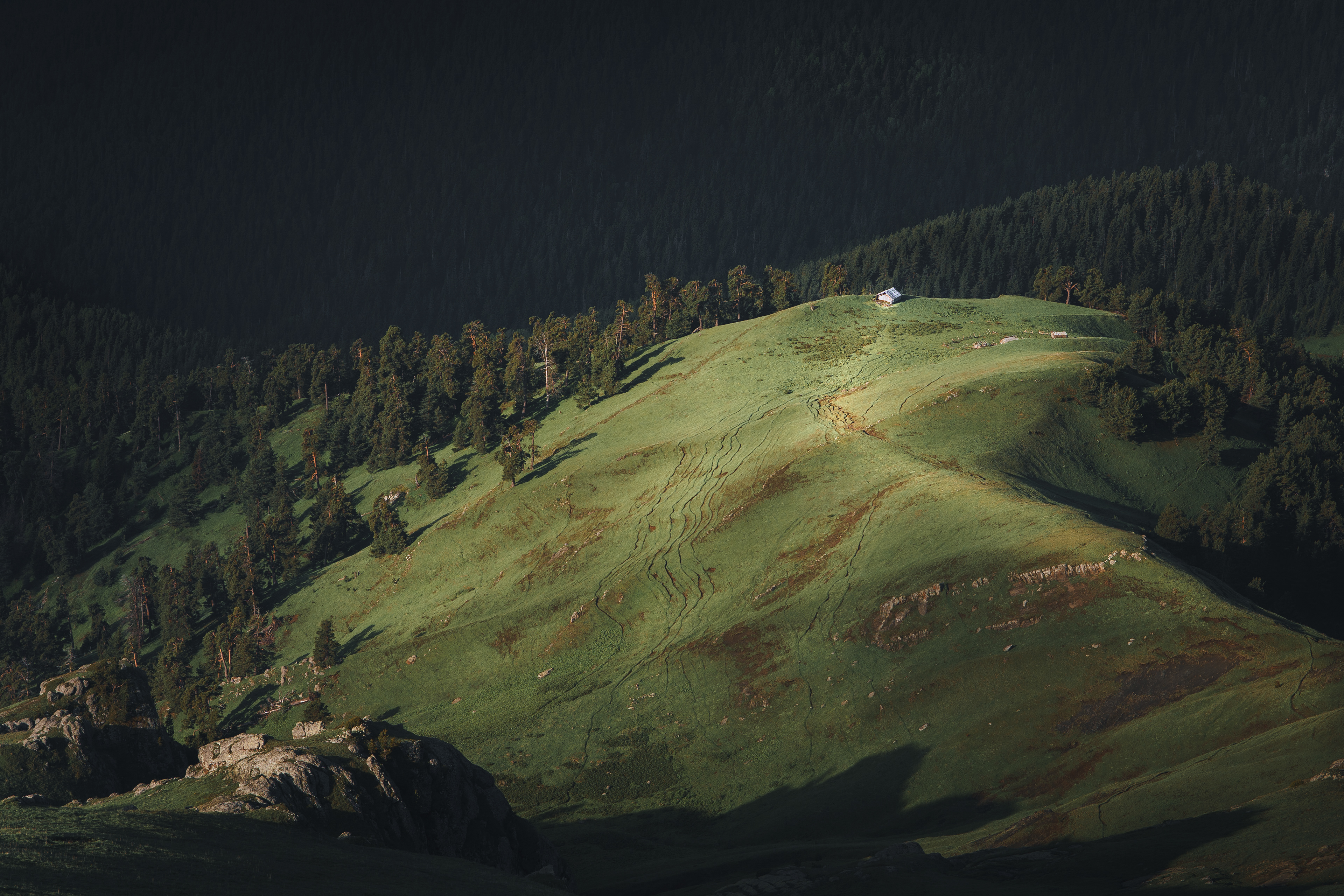 , Купчиков Илья