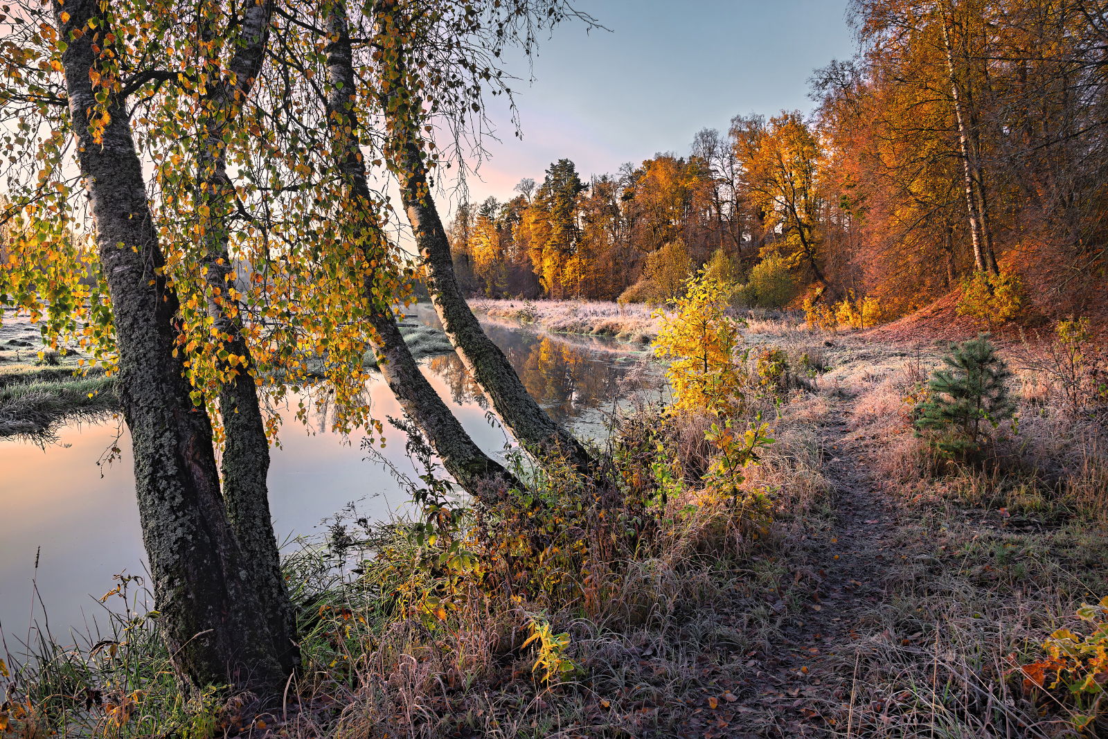 , Евгений Ерохин