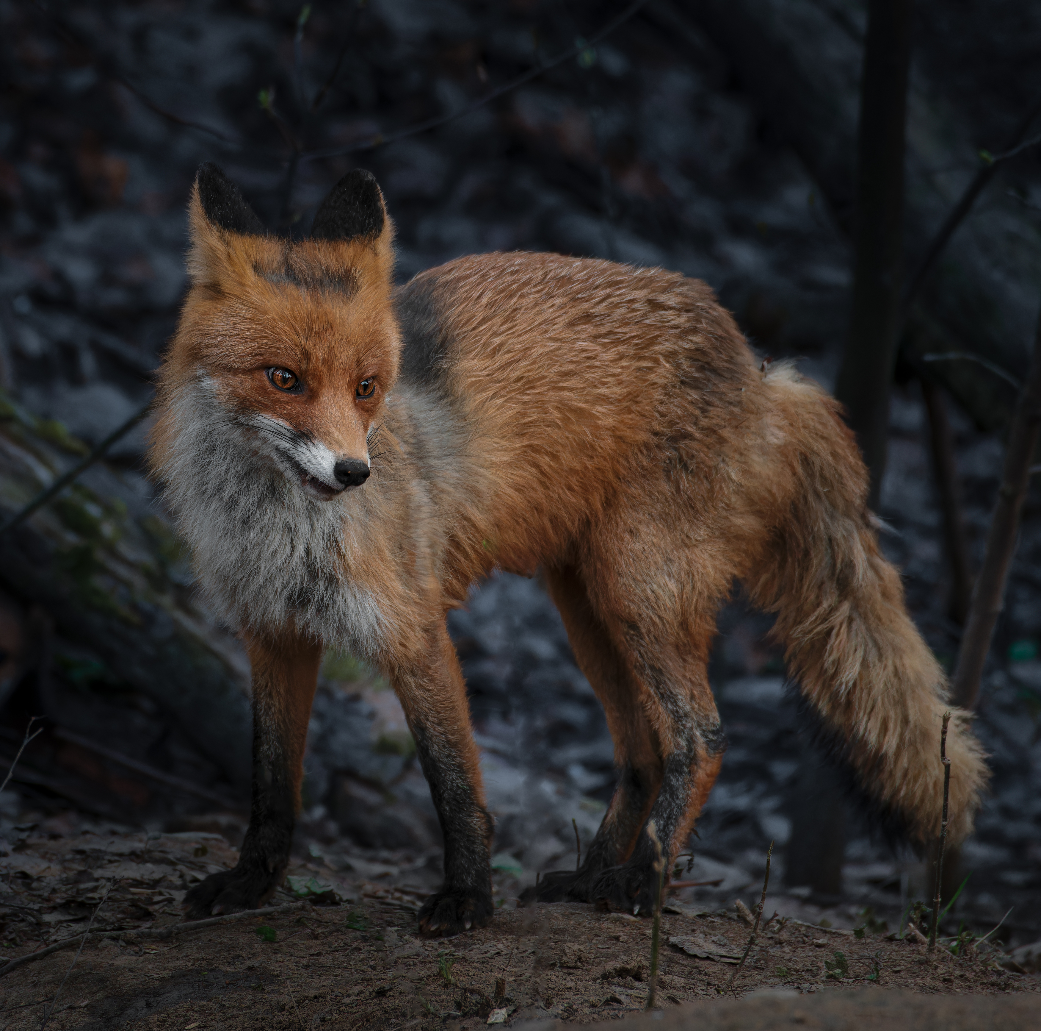 , Фото Александр