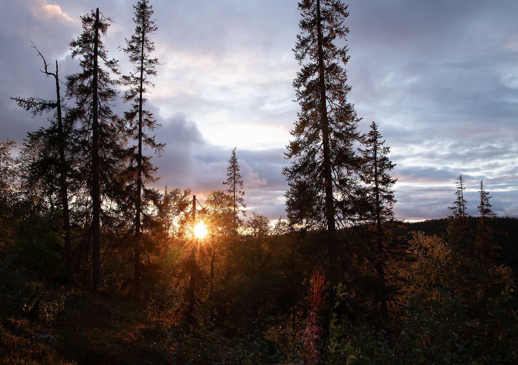 пейзаж, заполярье, север, природа, красота, landscape, north, nature, beautiful, Стукалова Юлия