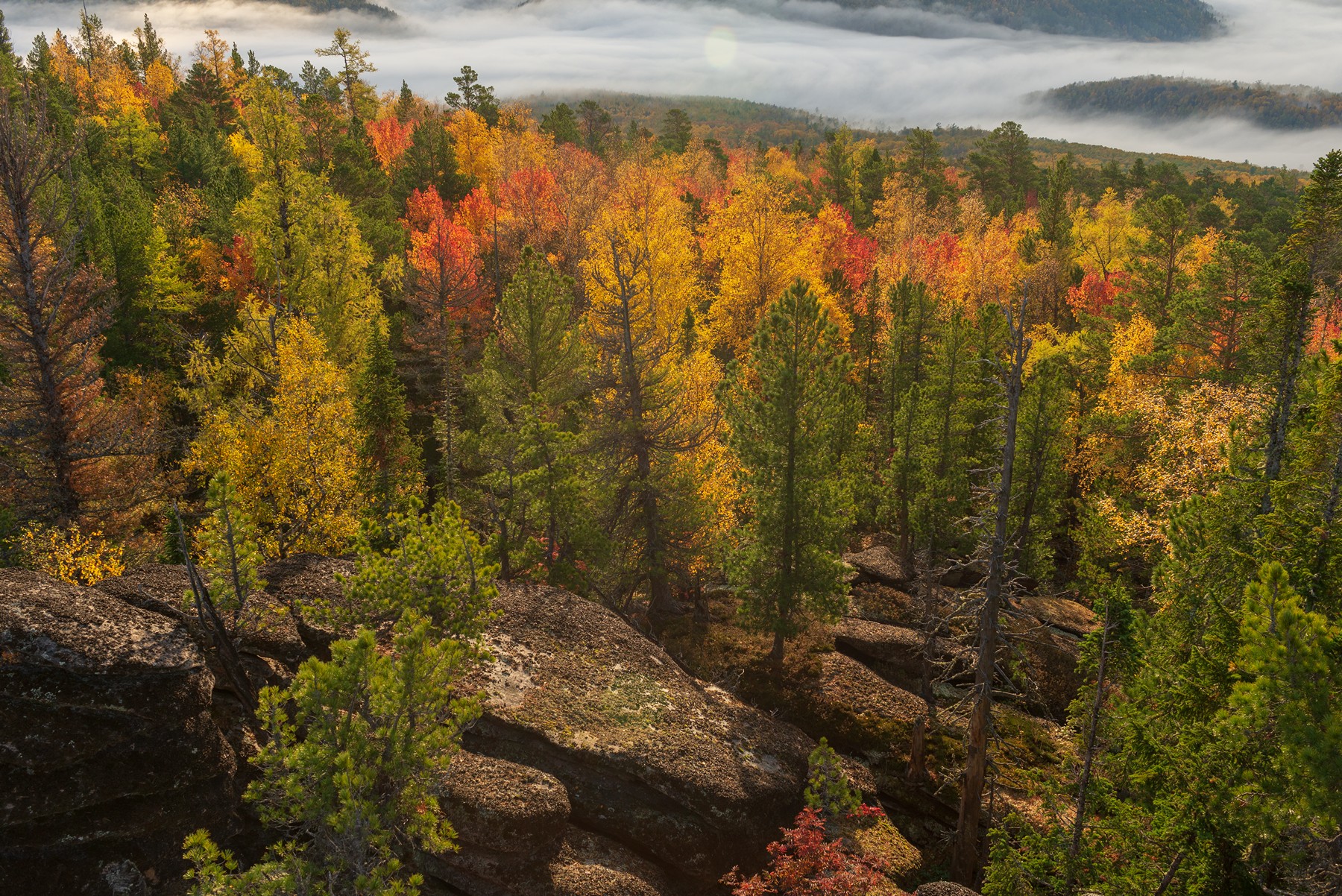 кутурчин осень, Беляев Юрий