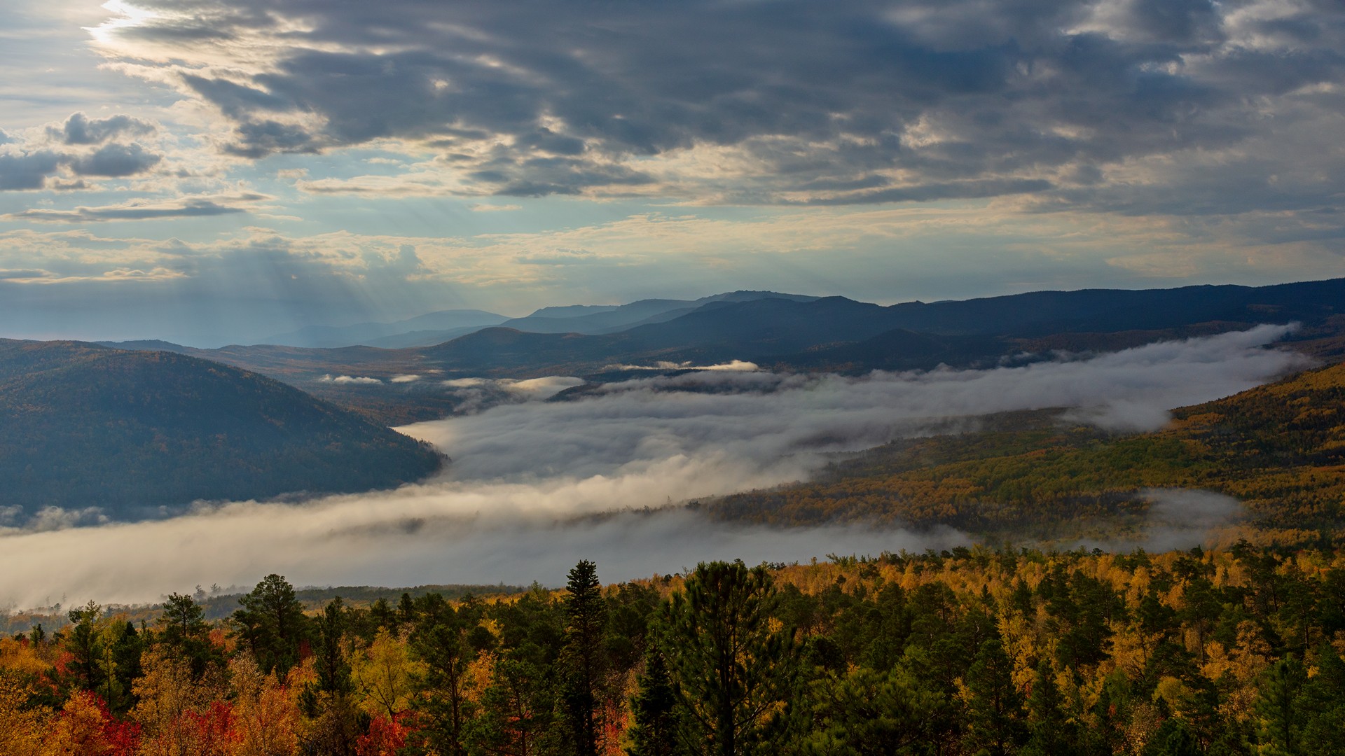 кутурчин осень, Беляев Юрий